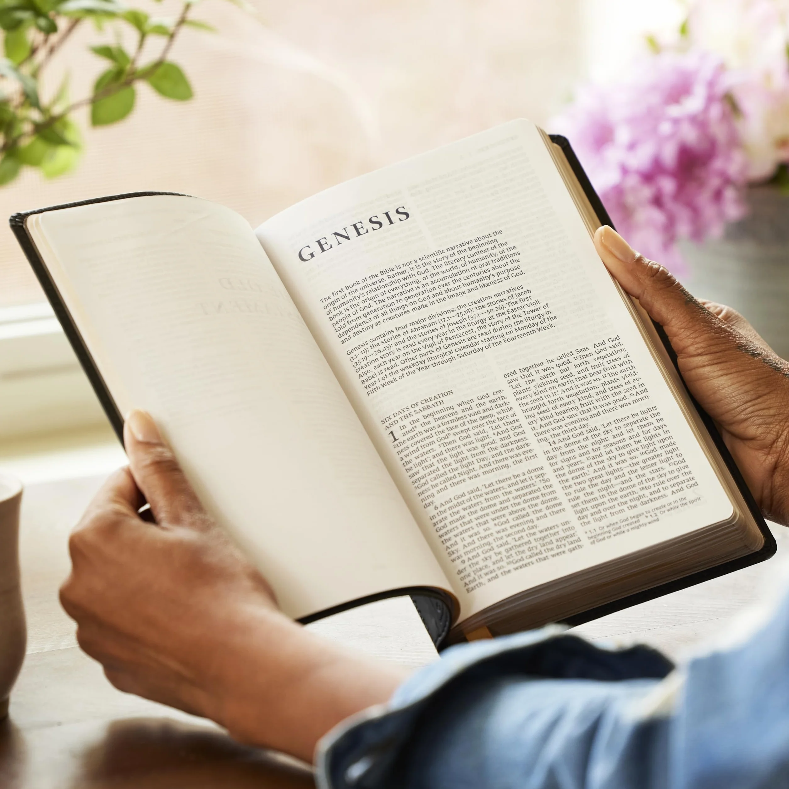 Nrsv, Catholic Bible, Gift Edition, Leathersoft, Black, Comfort Print: Holy Bible