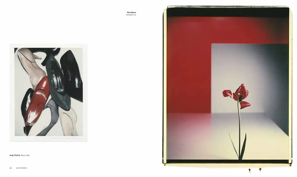 The Polaroid Project: At the Intersection of Art and Technology