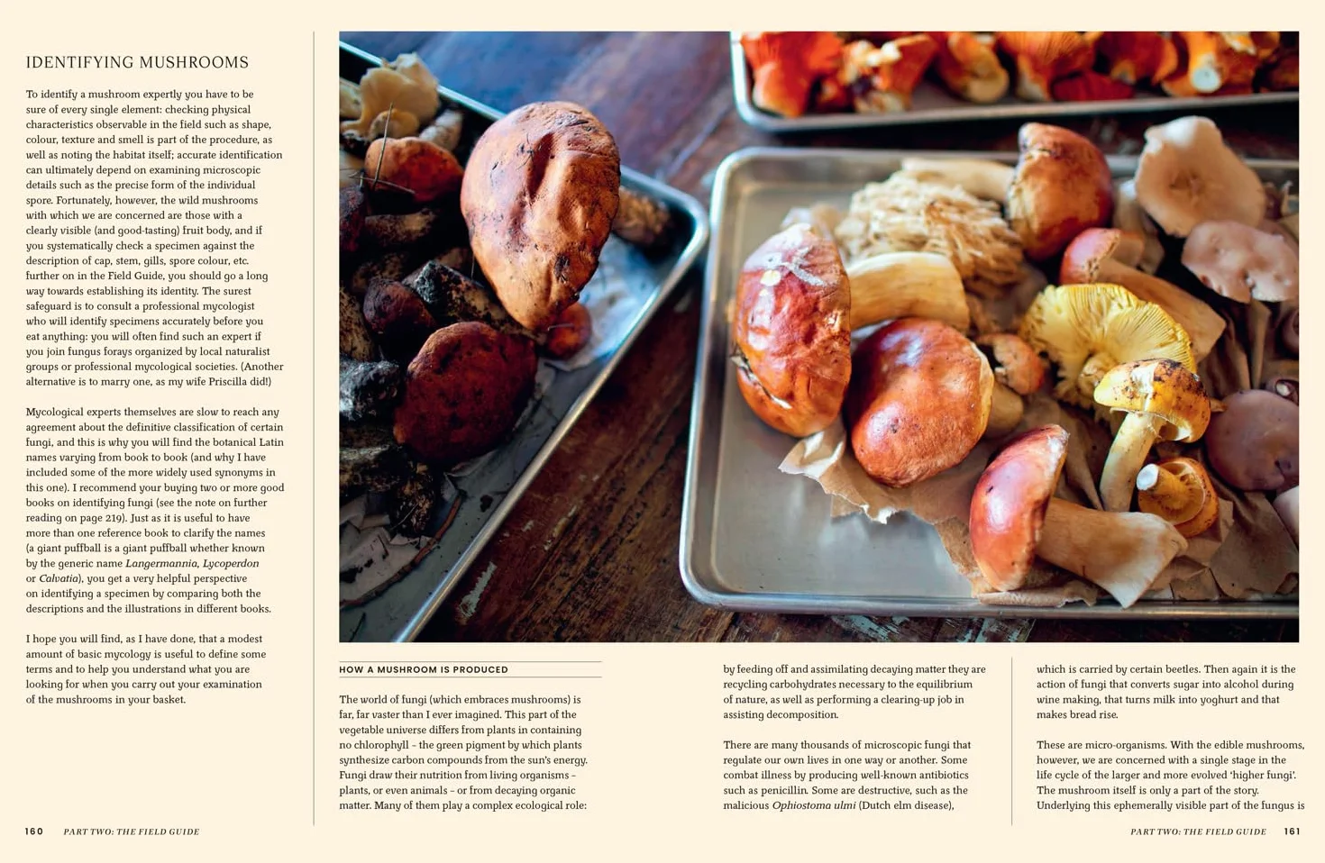 A Passion for Mushrooms: A comprehensive cookbook and foraging field guide for mushroom enthusiasts