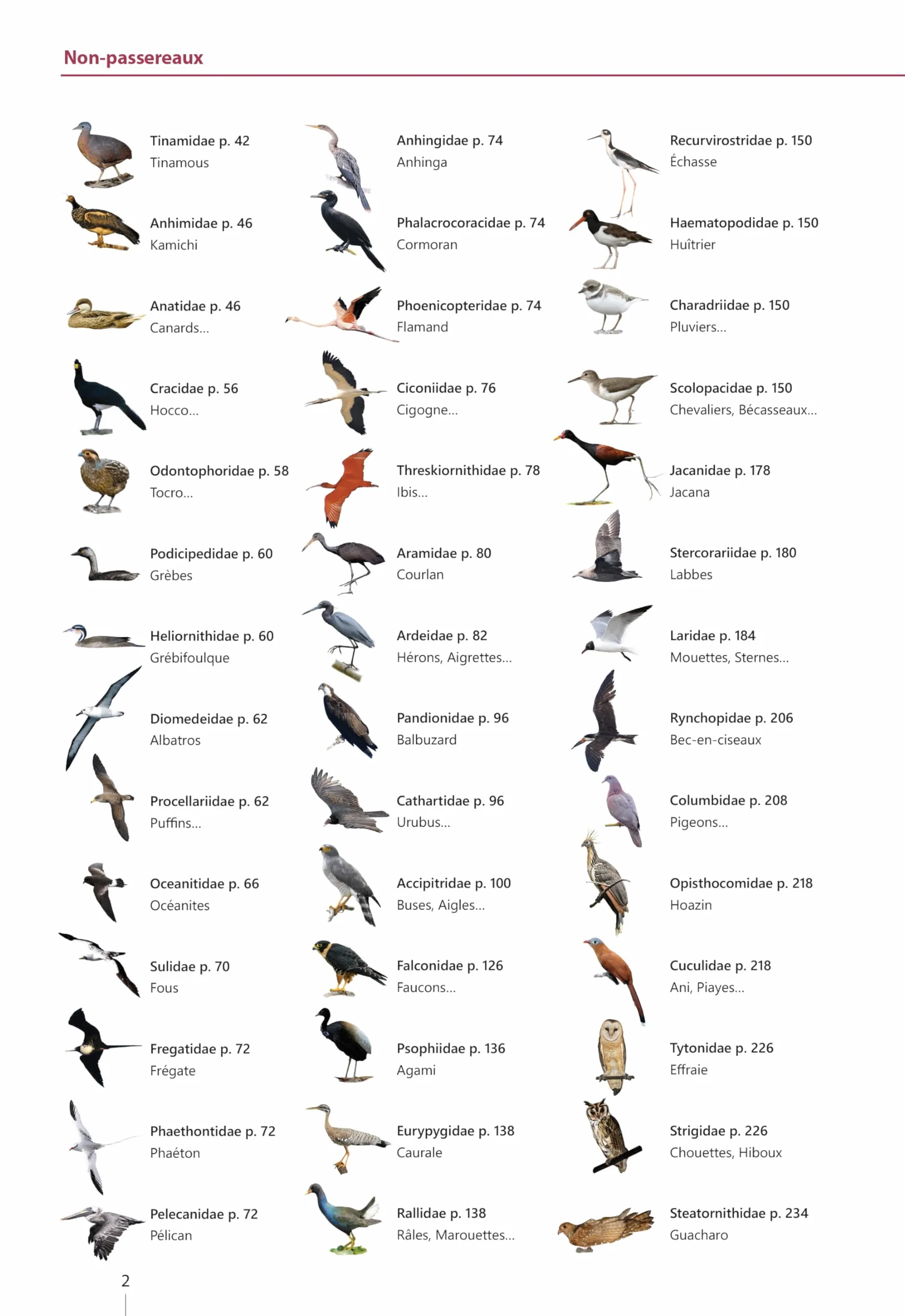 Guide expert des oiseaux de Guyane: Manuel d'identification