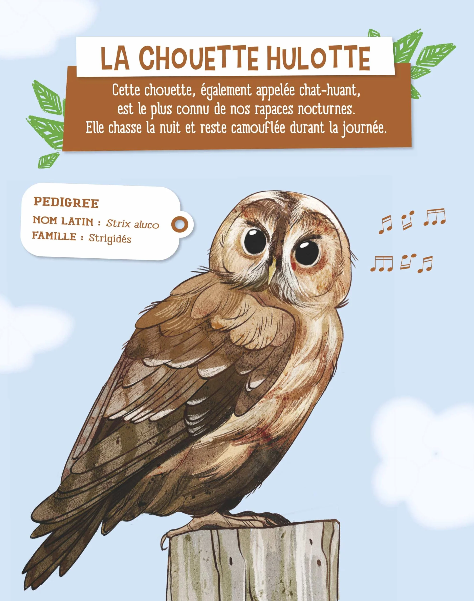 A l'écoute des oiseaux de mon jardin: 21 chants à découvrir
