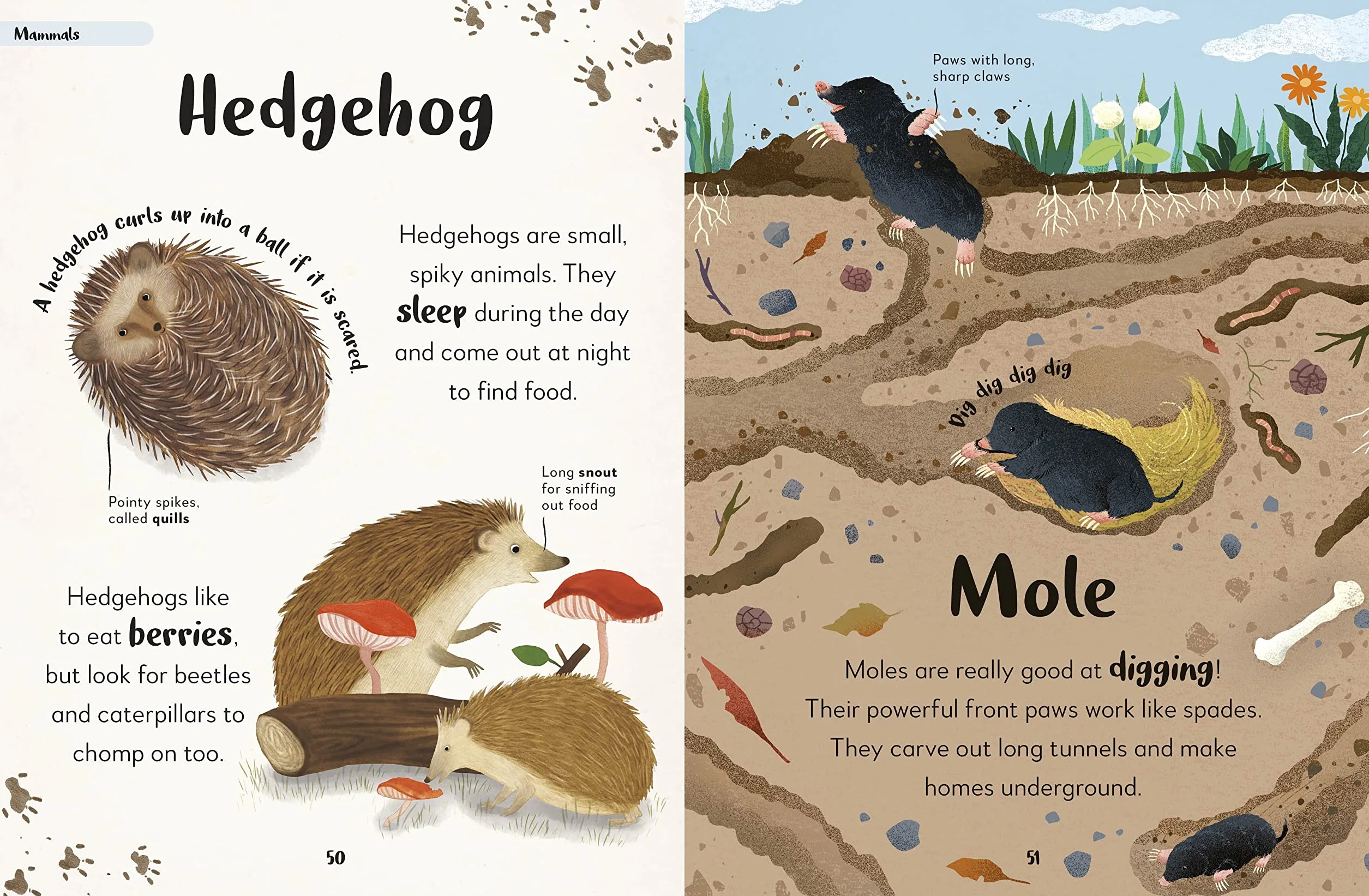 The Bedtime Book of Animals: Take a Peek at more than 50 of your Favourite Animals
