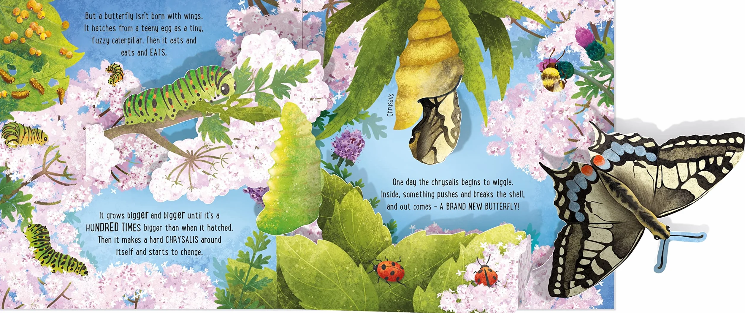 Pop-Up Butterflies (Pop-Ups)