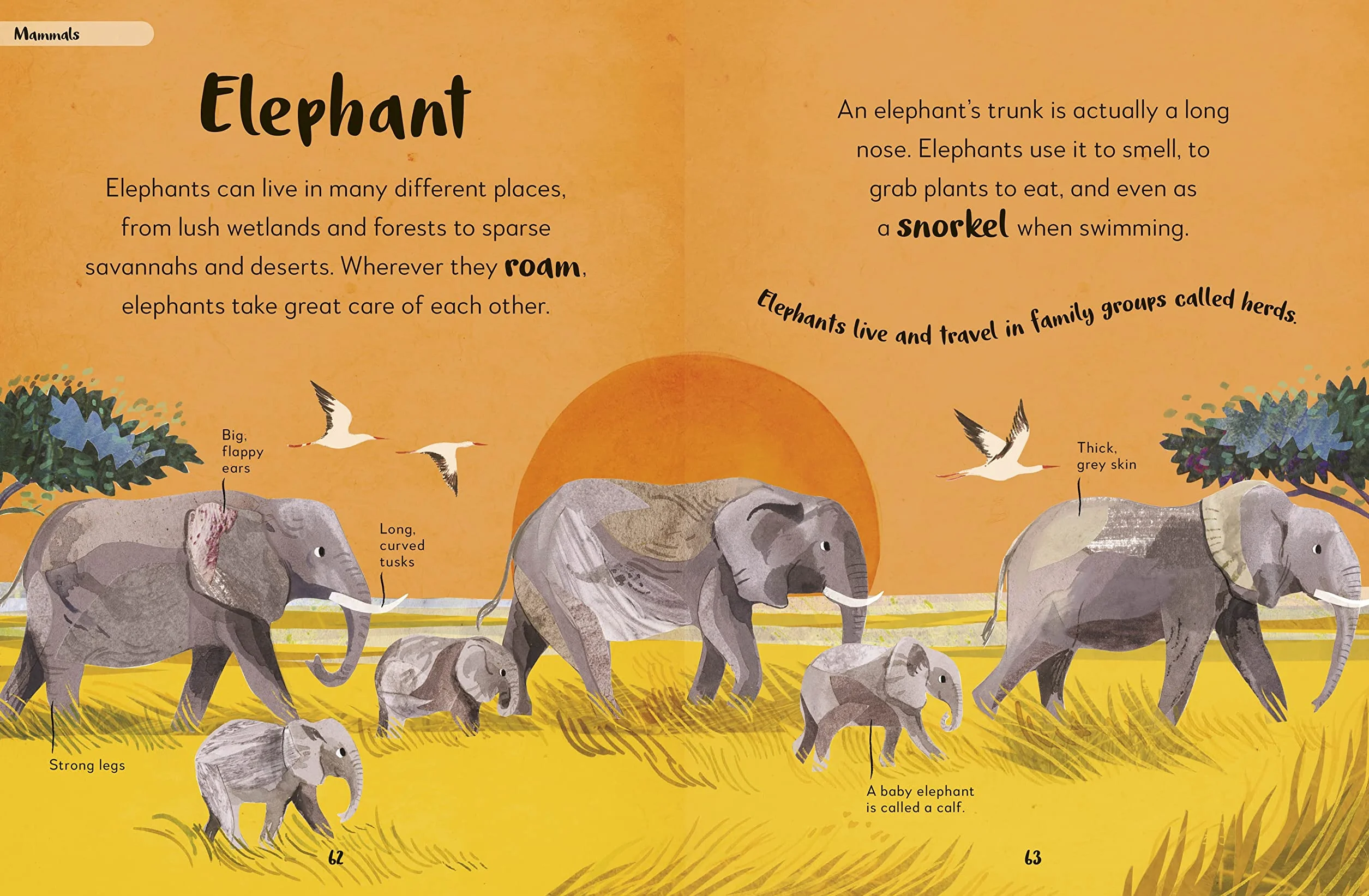 The Bedtime Book of Animals: Take a Peek at more than 50 of your Favourite Animals