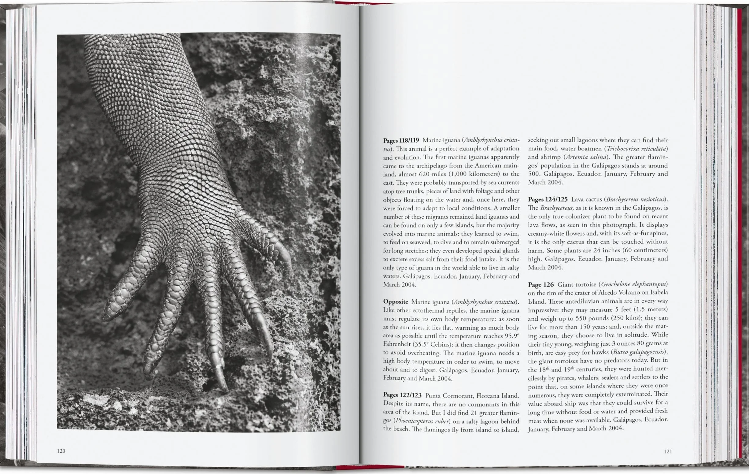 Sebastião Salgado. Genesis. 45th Ed.