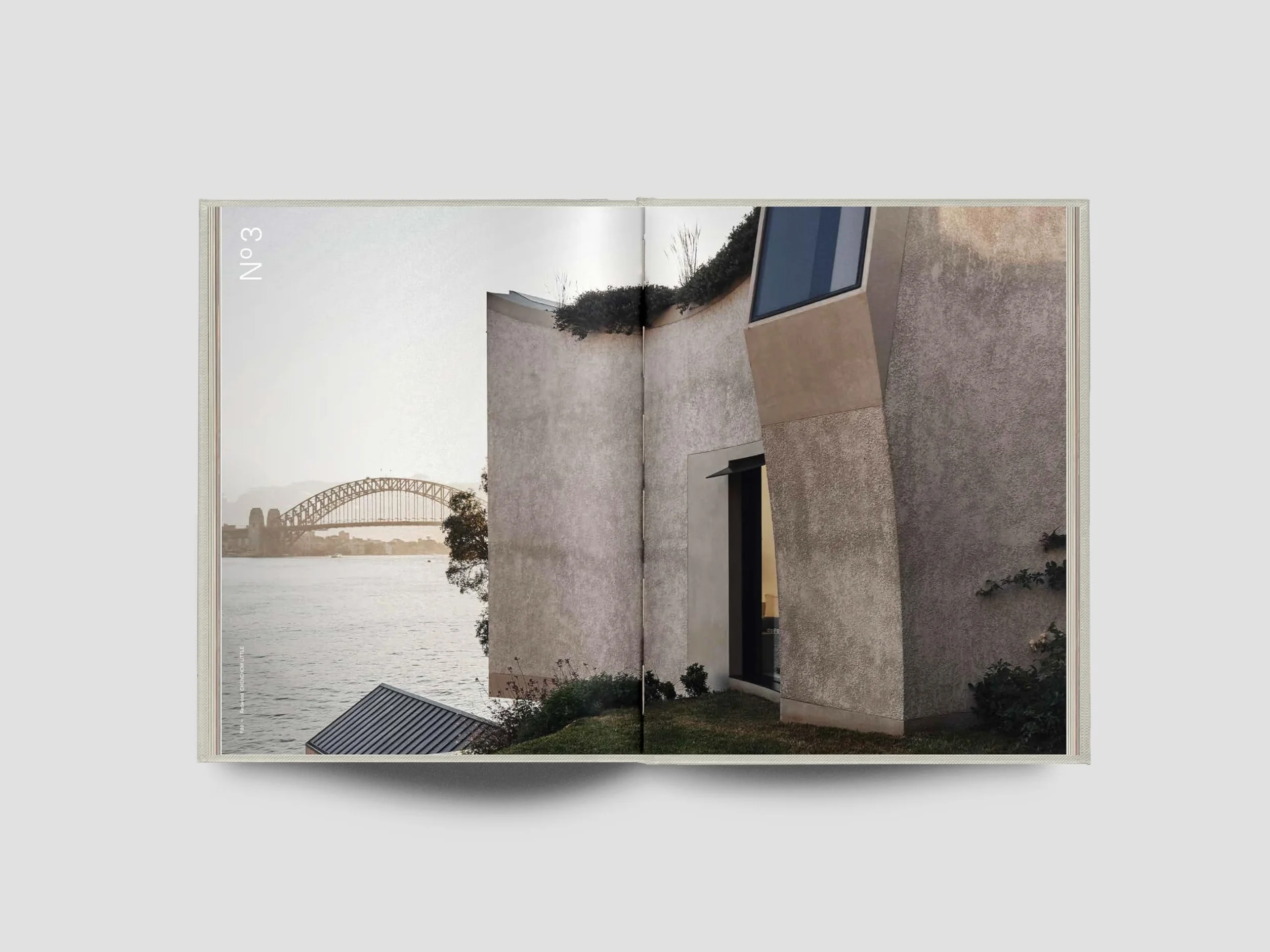 The Local Project: Book 10