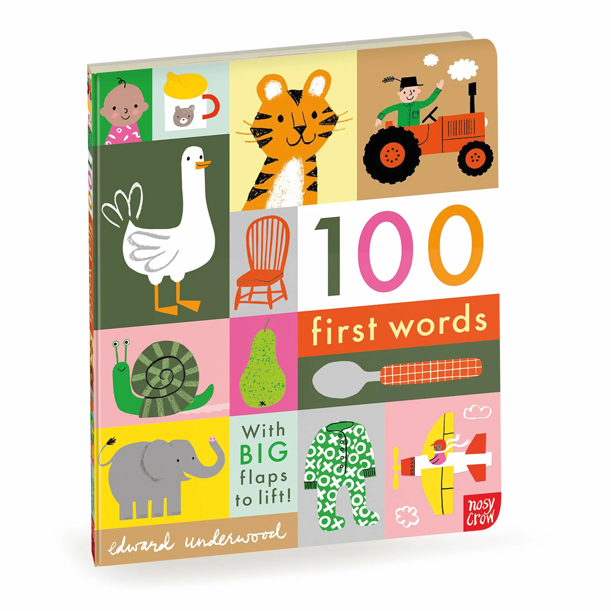 100 First Words: With BIG flaps to lift!