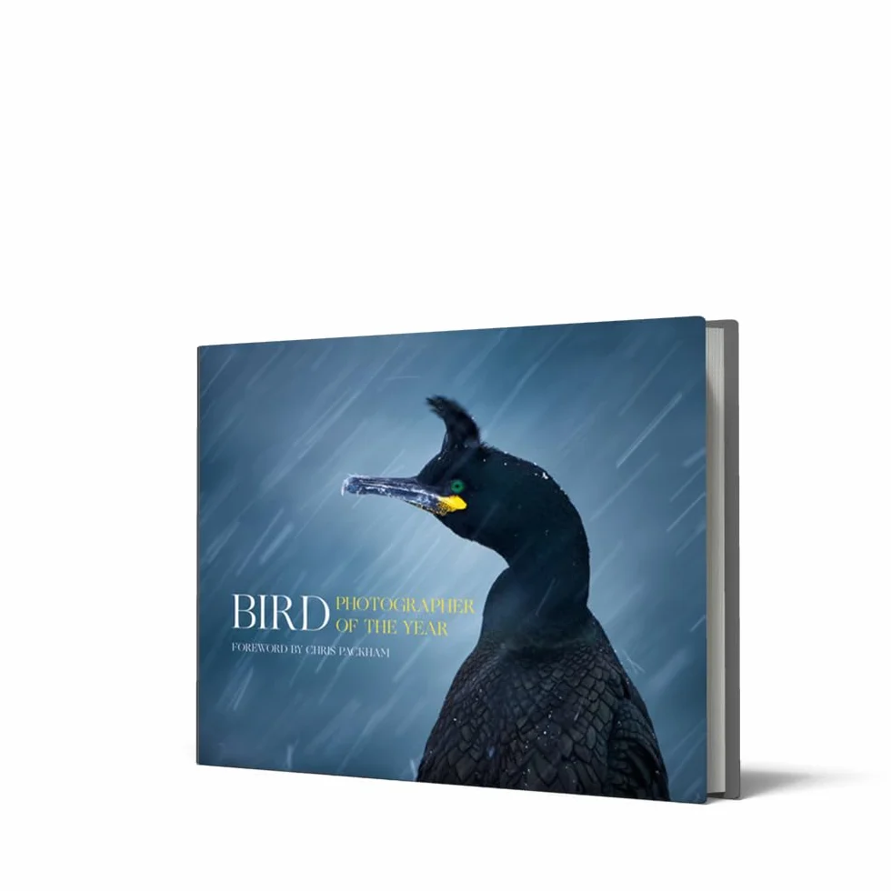 Bird Photographer of the Year