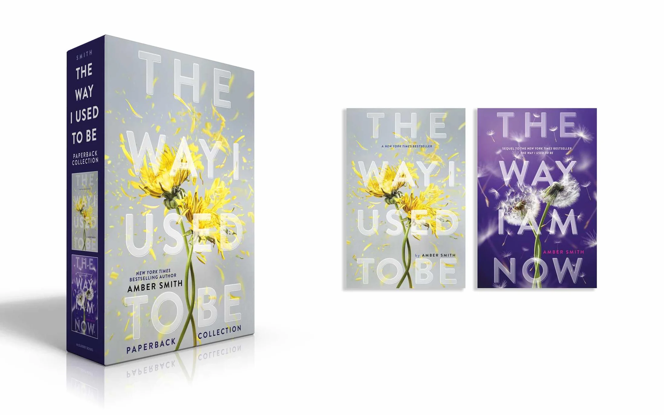 The Way I Used to Be Paperback Collection (Boxed Set): The Way I Used to Be; The Way I Am Now