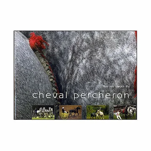 Sur les traces du cheval percheron