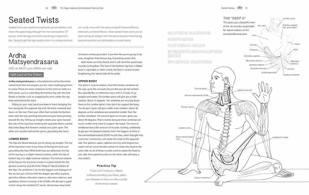 The Yoga Anatomy Coloring Book: Pose by Pose: Learn the Anatomy and Enhance Your Practice - An Educational Anatomy Coloring Book for Yoga Teachers, Medical Students, & Adults (Volume 2)