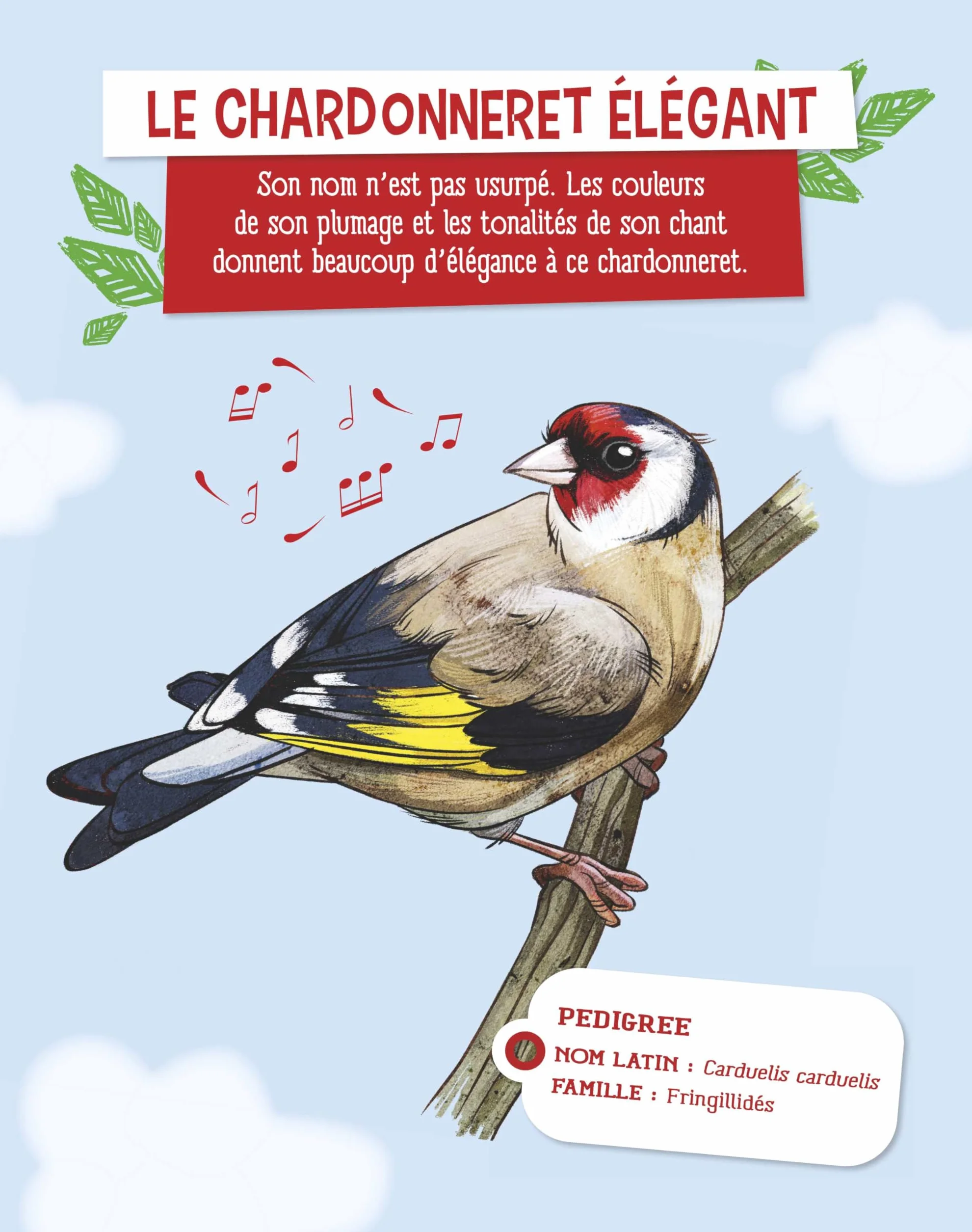 A l'écoute des oiseaux de mon jardin: 21 chants à découvrir