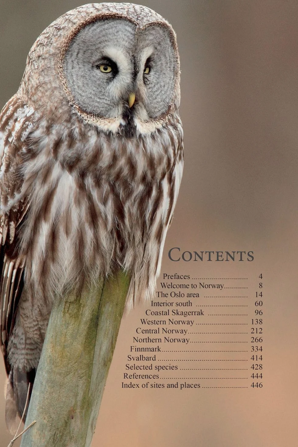 A Birdwatcher's Guide to Norway: Where, When and How to Find Scandinavia's Most Sought-After Birds