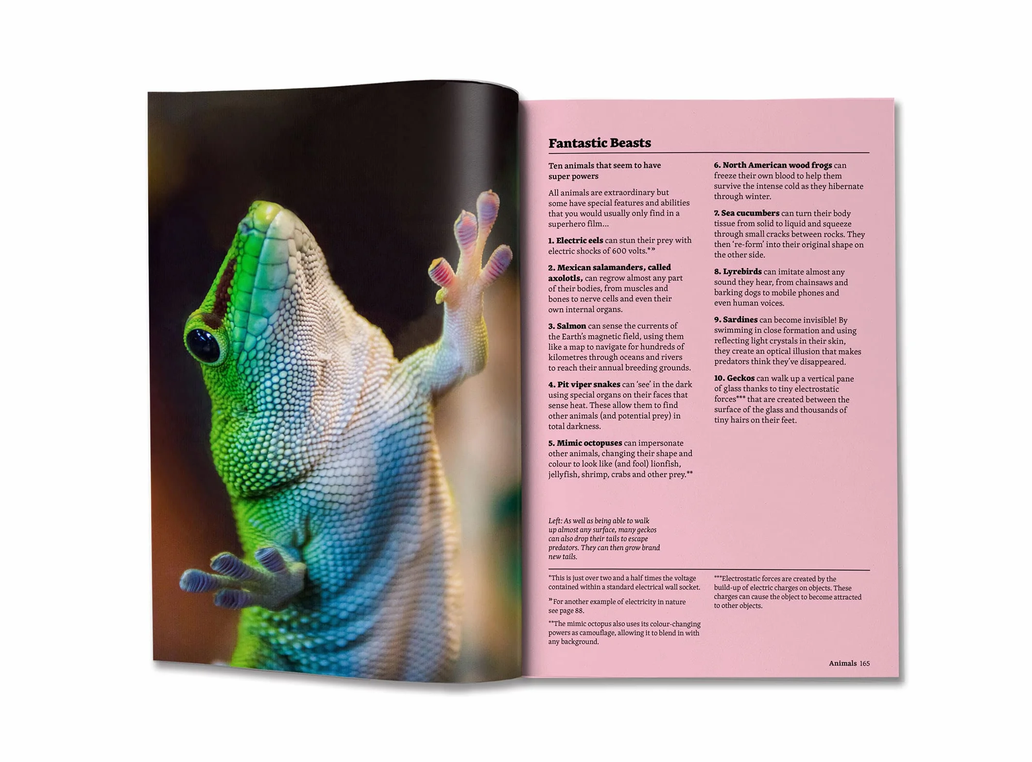 Listified!: Britannica’s 300 lists that will blow your mind.