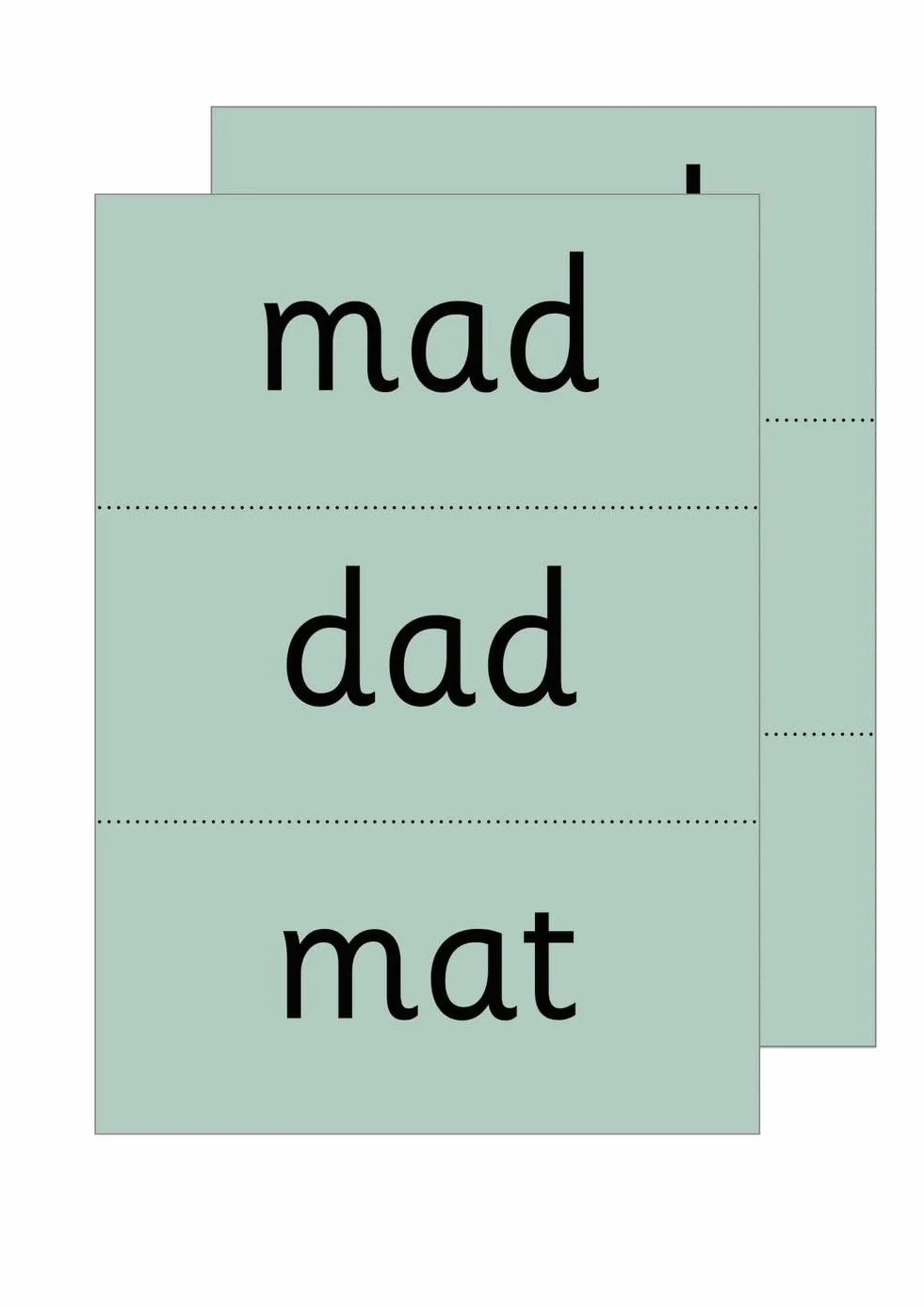 Read Write Inc - Phonics Teaching Words Green Word Cards Single