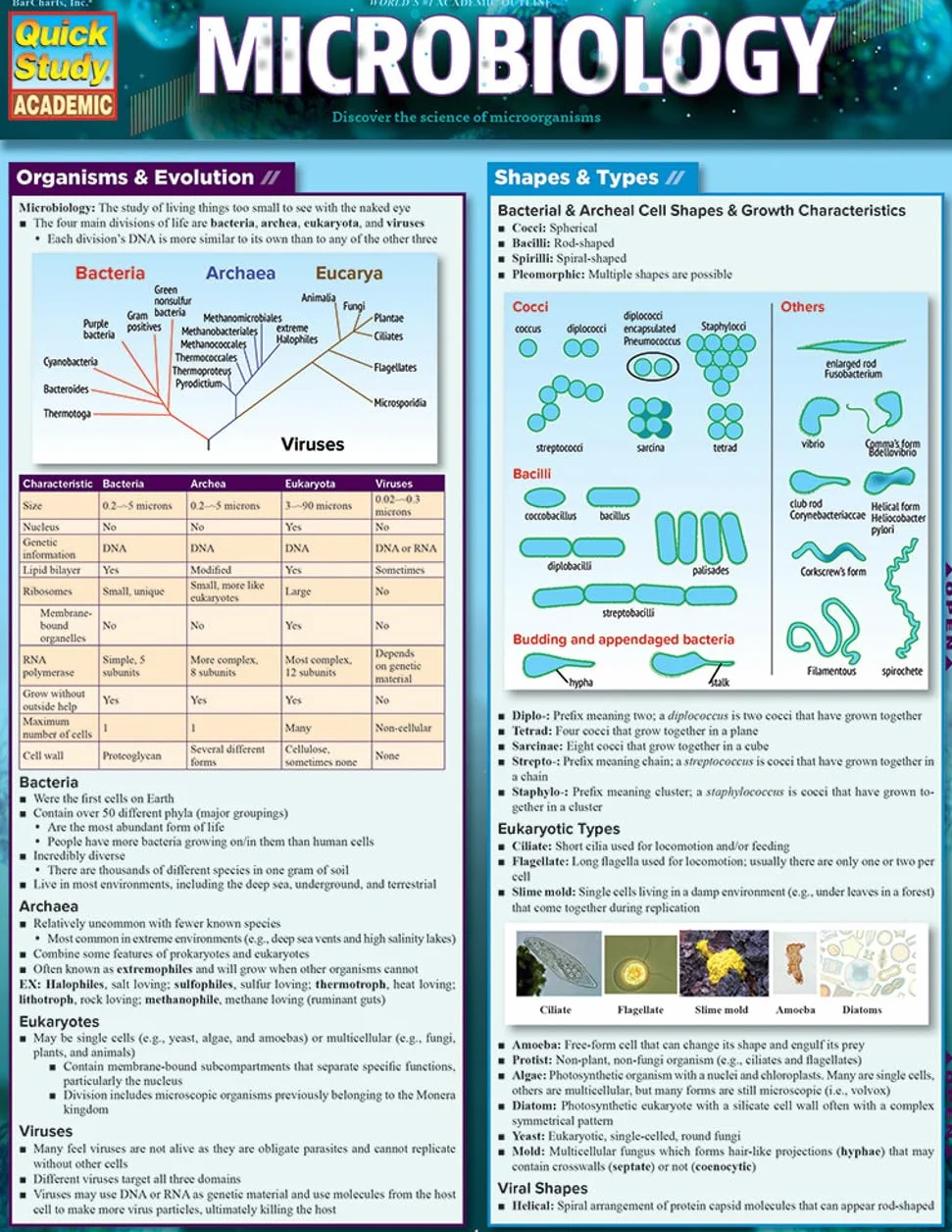 Microbiology