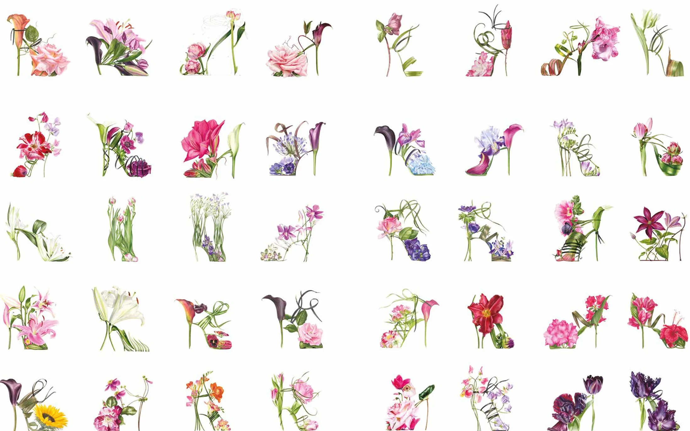 The Botanical Shoes: A Collection of Botanical Shoe Paintings in Watercolour and Words