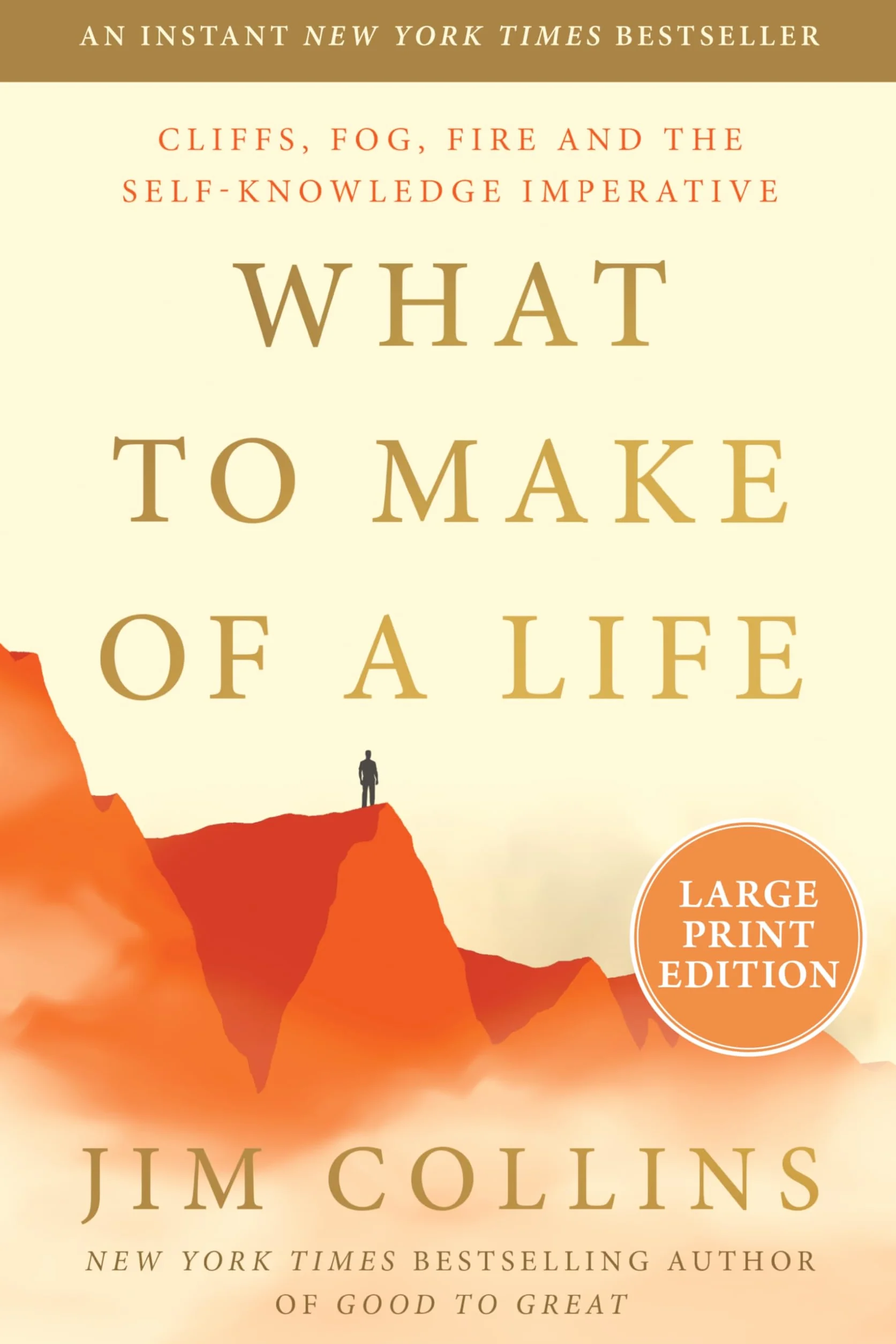 What to Make of a Life: Cliffs, Fog, Fire and the Self-knowledge Imperative