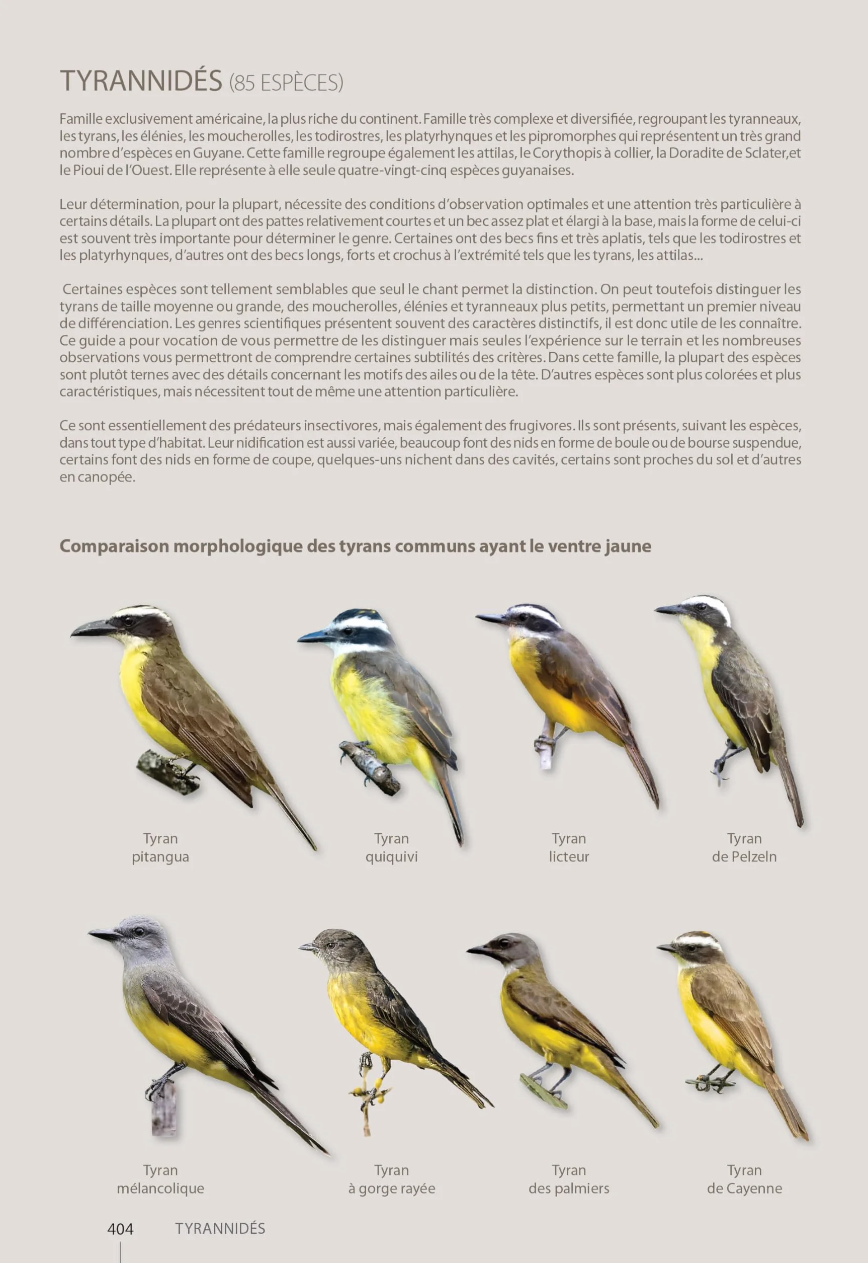 Guide expert des oiseaux de Guyane: Manuel d'identification