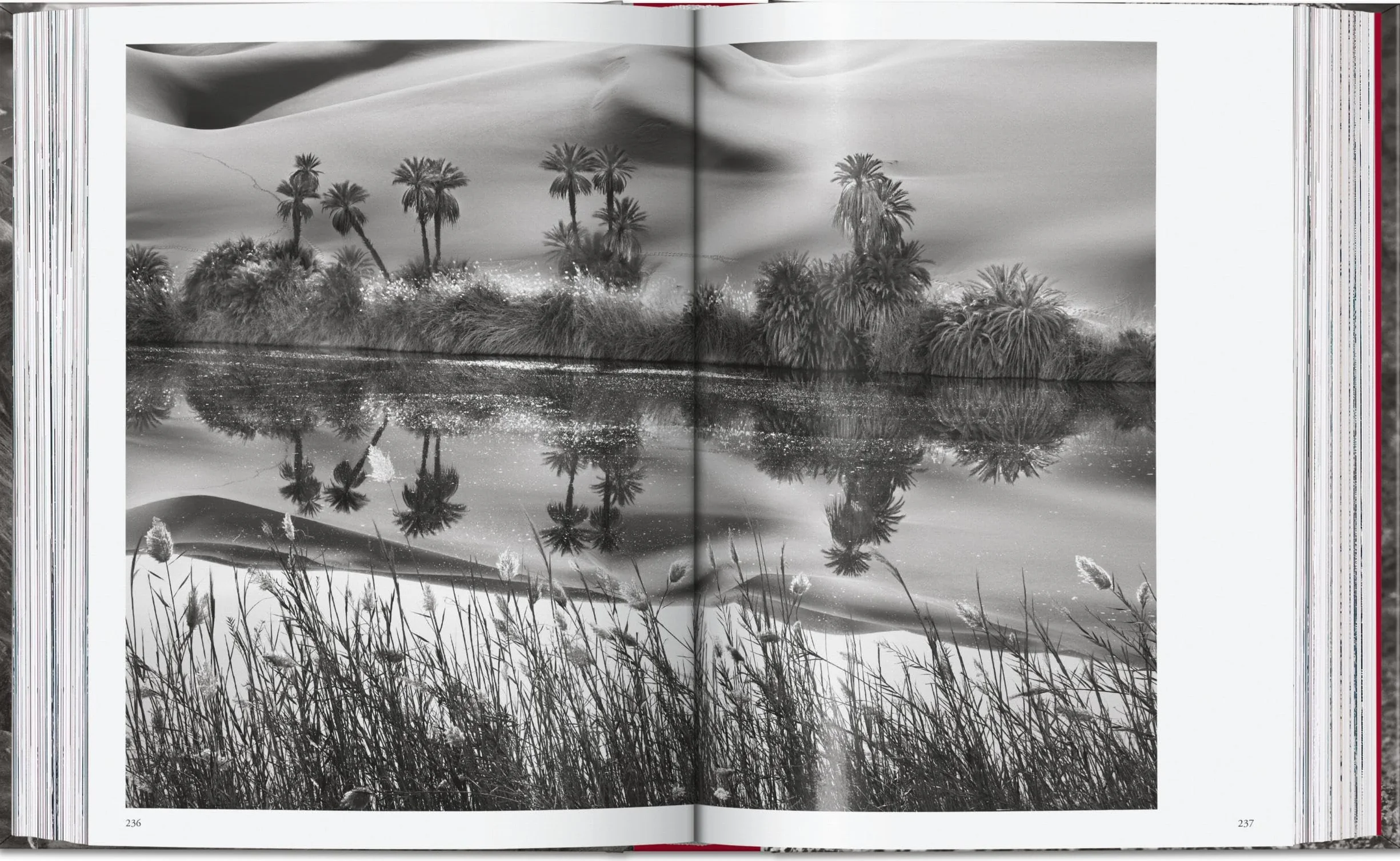 Sebastião Salgado. Genesis. 45th Ed.
