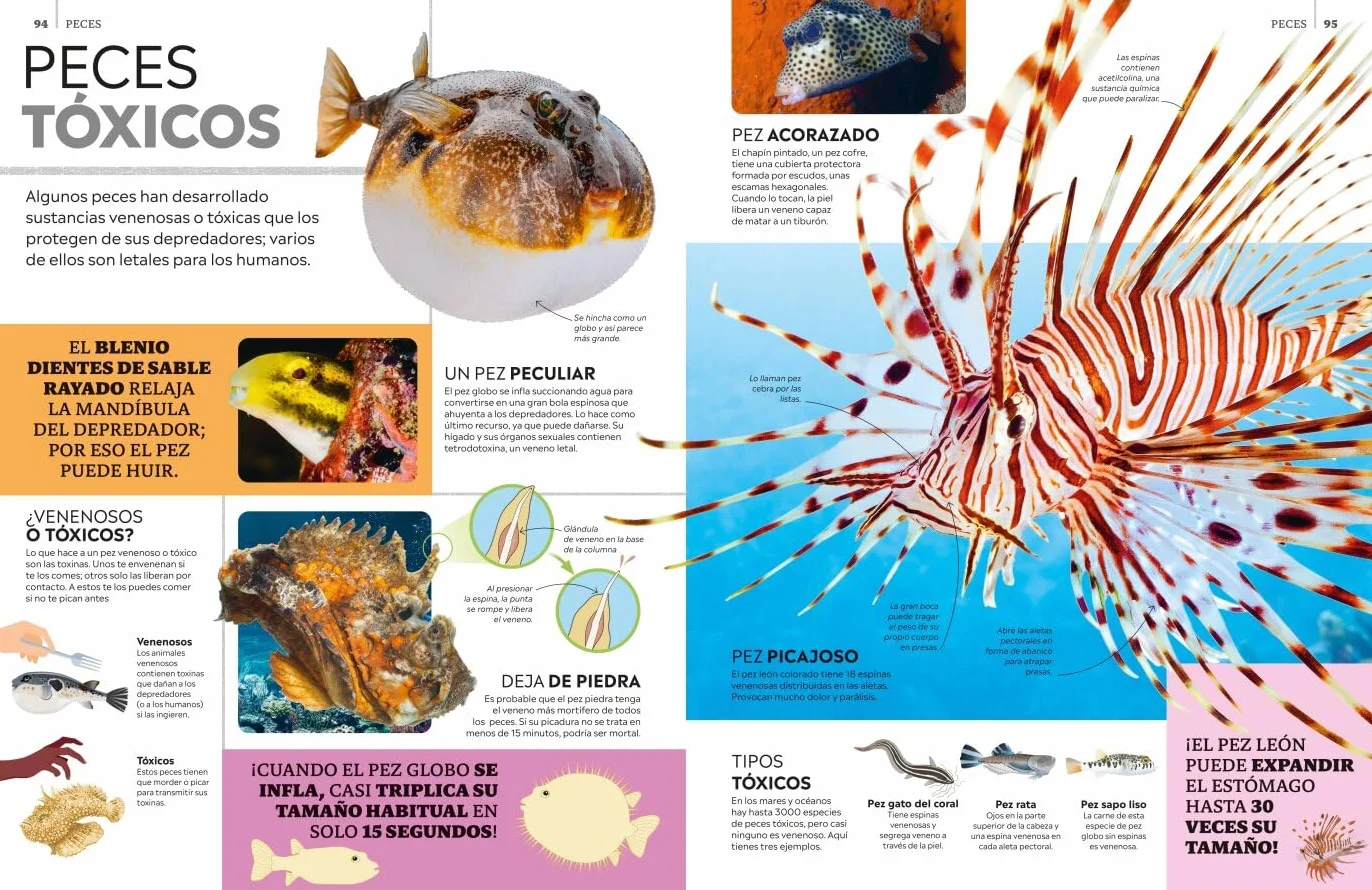 La superenciclopedia de los animales: Invertebrados | Peces | Anfibios | Reptiles | Mamíferos