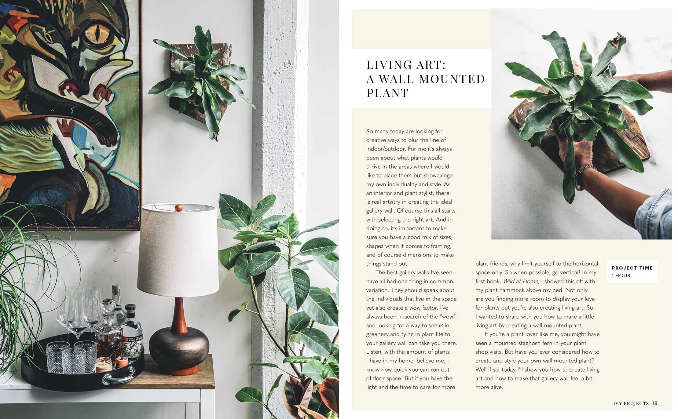 Wild Creations: Inspiring Projects to Create Plus Plant Care Tips & Styling Ideas for Your Own Wild Interior