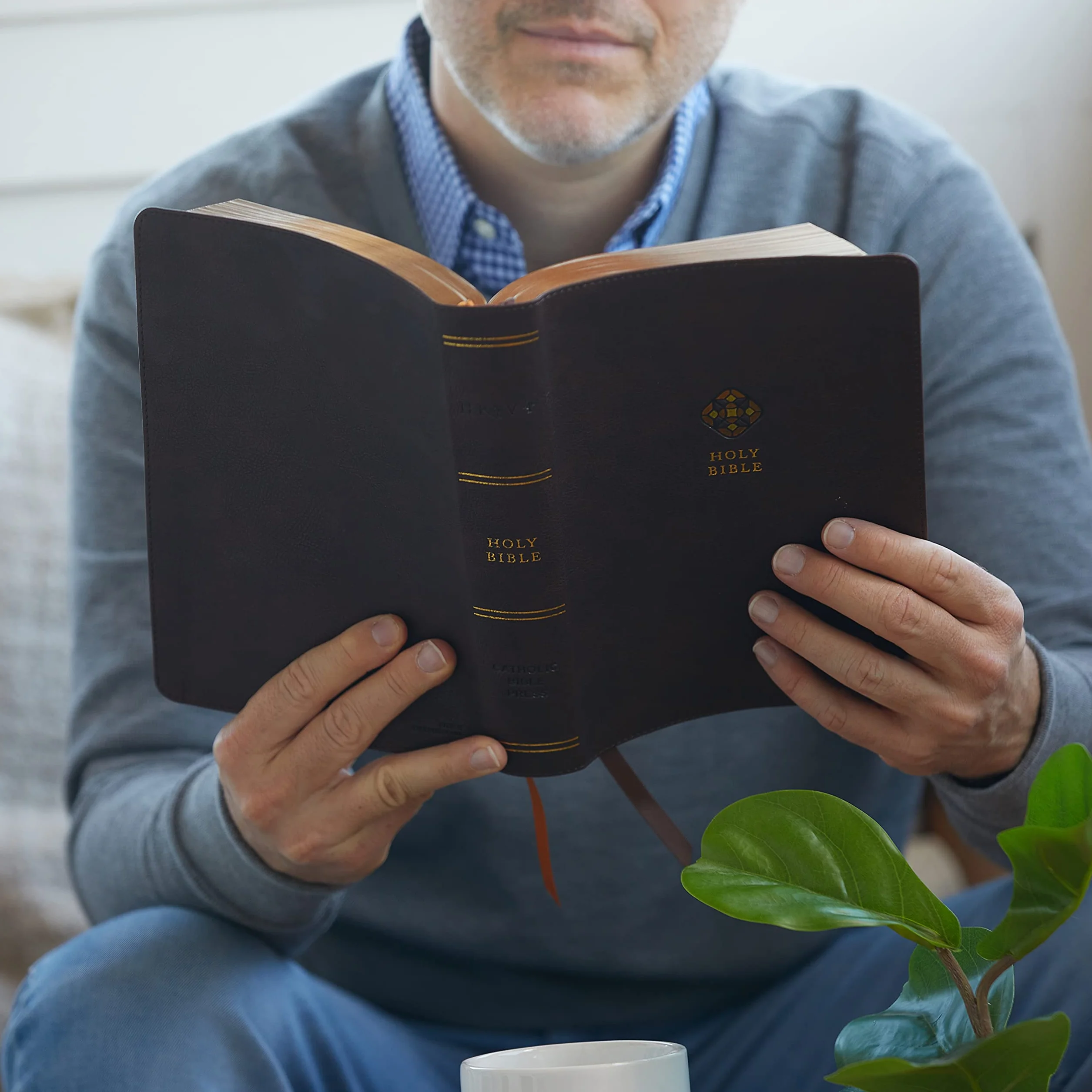 Nrsv, Catholic Bible, Journal Edition, Leathersoft, Brown, Comfort Print: Holy Bible