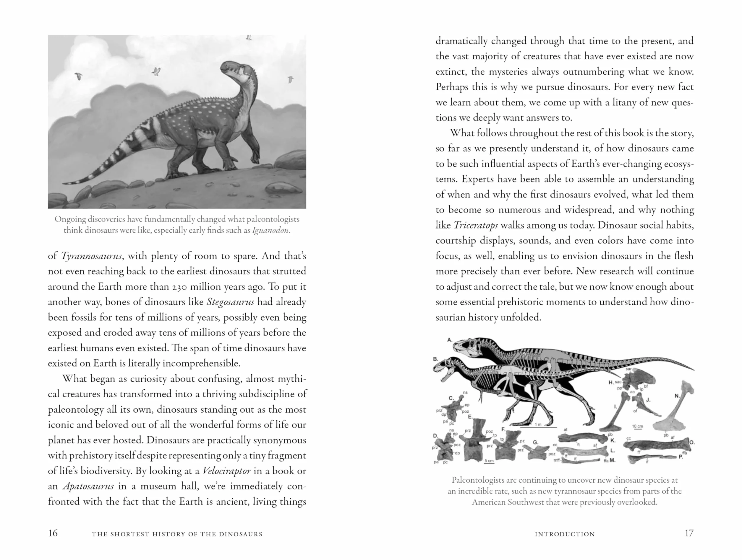 The Shortest History of the Dinosaurs: The 230-Million-Year Story of Their Time on Earth: 0