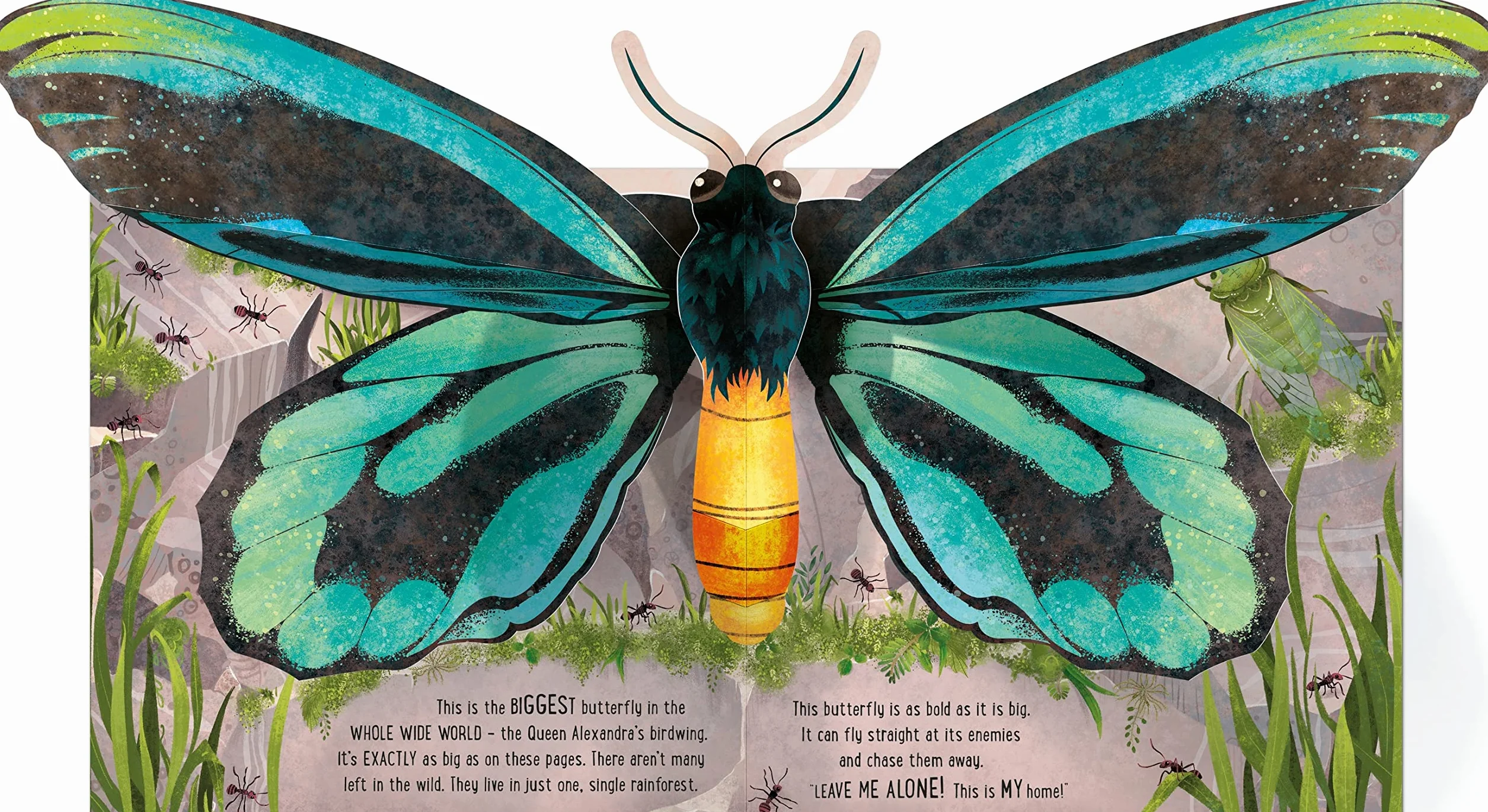 Pop-Up Butterflies (Pop-Ups)