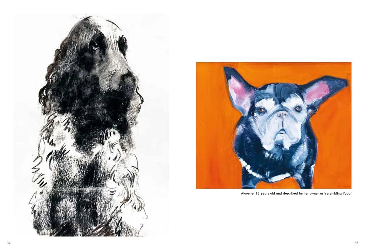Old Dogs: A collection of charming dog portraits