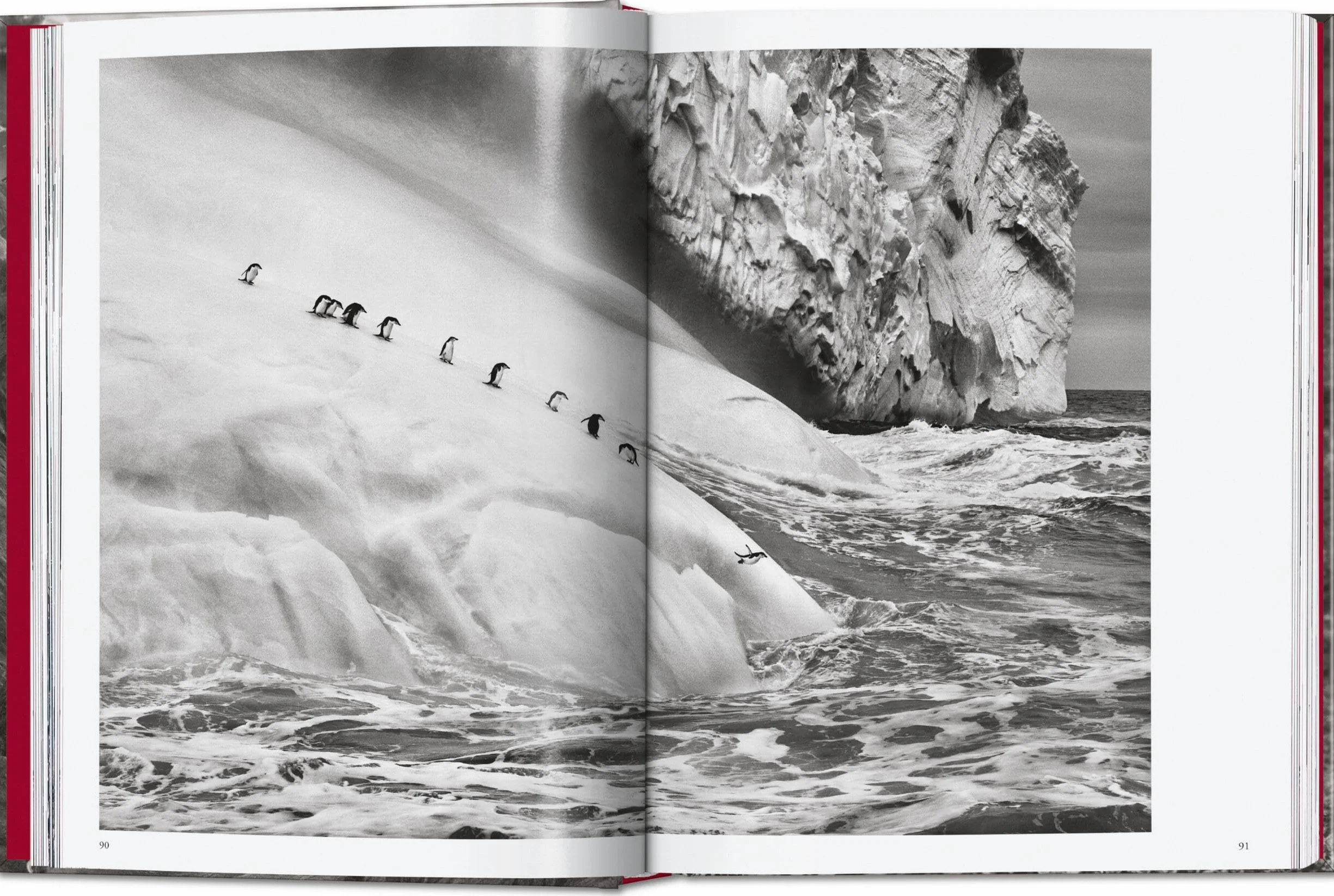 Sebastião Salgado. Genesis. 45th Ed.