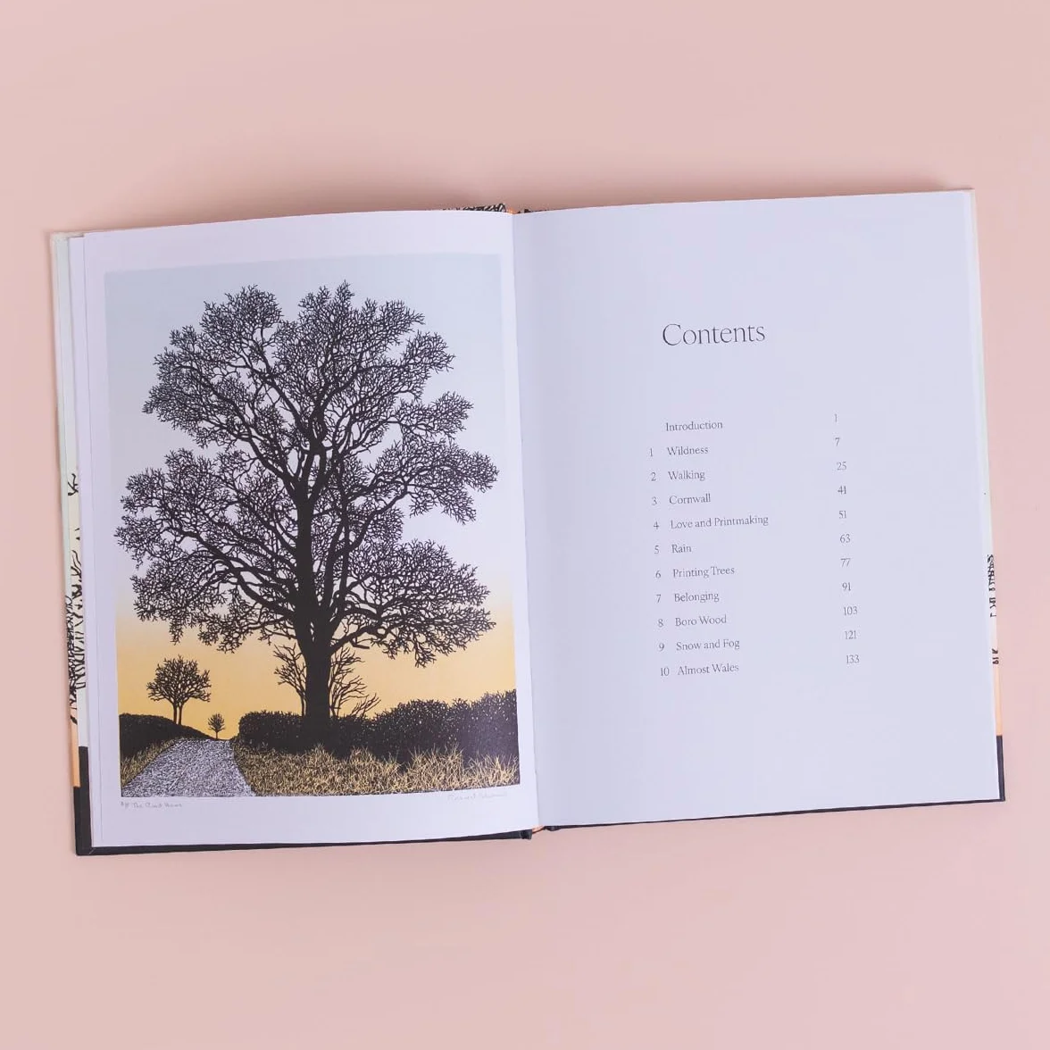 Trees in Winter: A Beautiful Book for Anyone Who Loves Printmaking and Nature