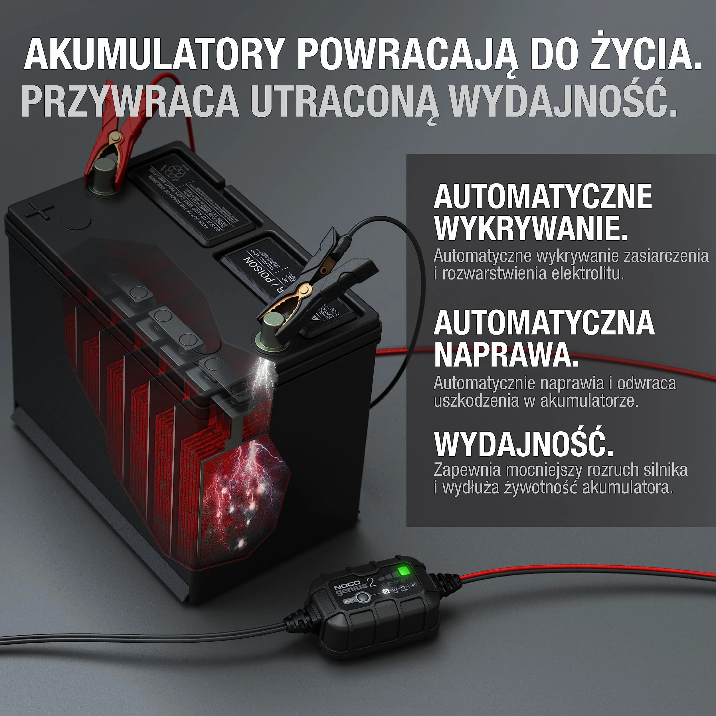 Noco FP 26 010 Ładowarka Akumulatorowa, Czarny, 2A