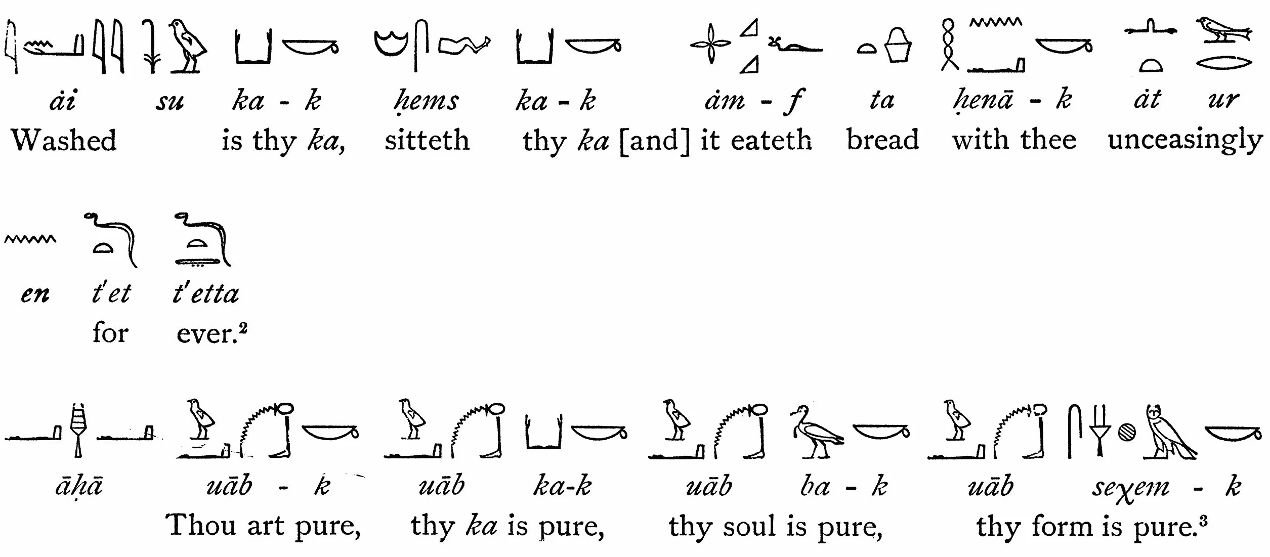 The Egyptian Book of the Dead: Egyptian Text, Transliteration and Translation