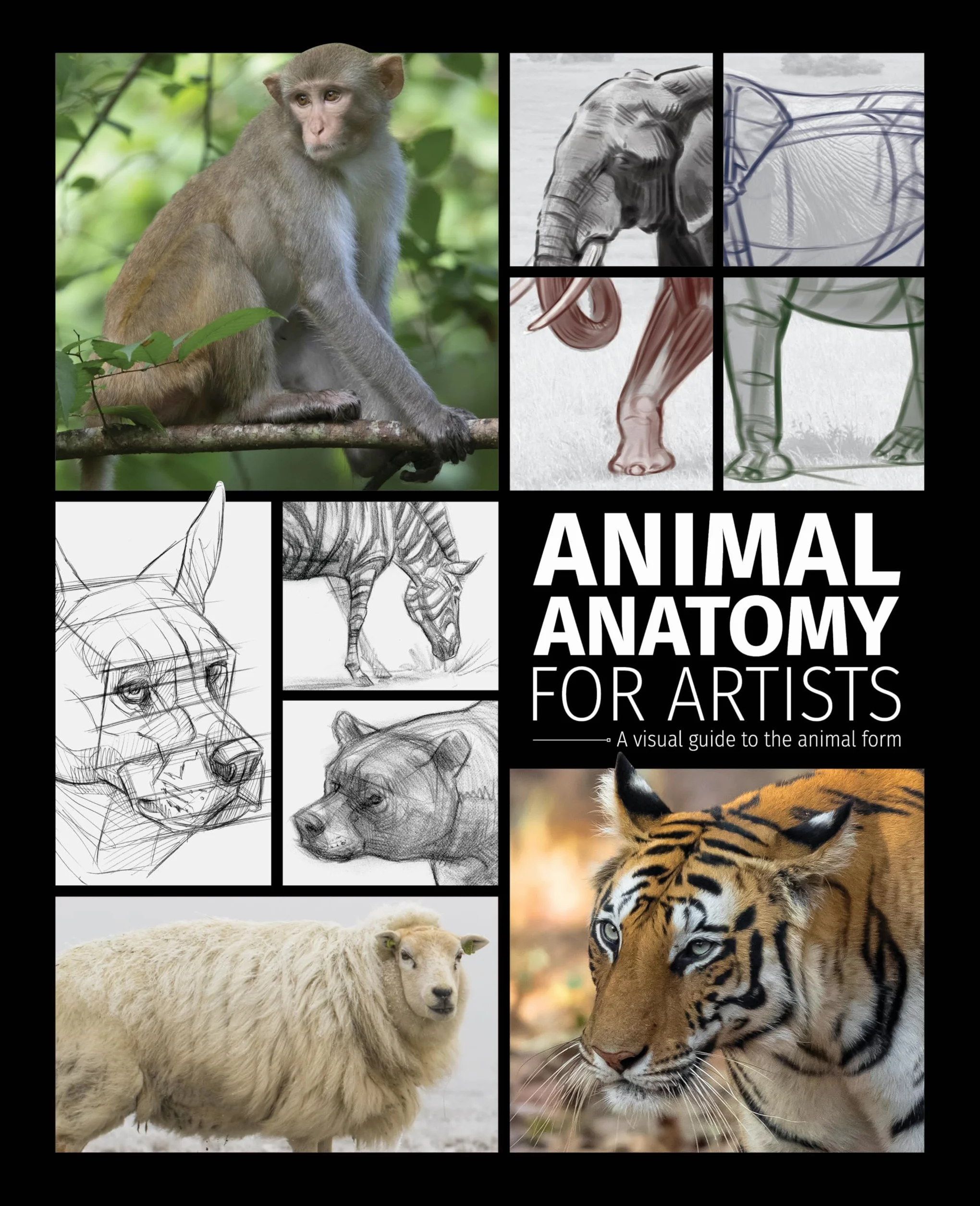 Animal Anatomy for Artists: A Visual Guide to the Animal Form