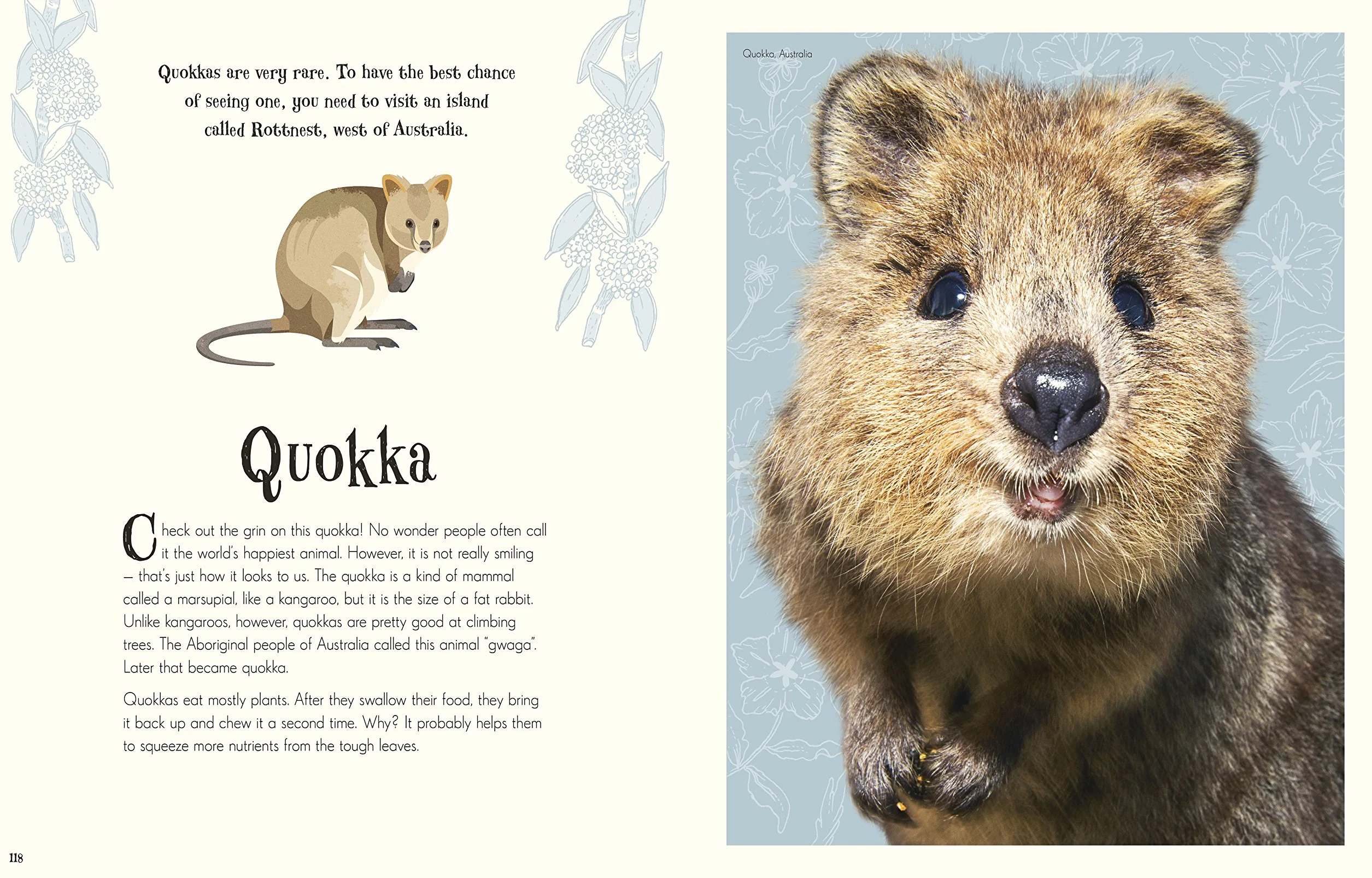 An Anthology of Intriguing Animals (DK Children's Anthologies): Discover the Fascinating Truths of the Animal Kingdom