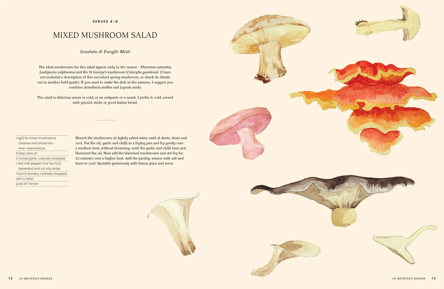 A Passion for Mushrooms: A comprehensive cookbook and foraging field guide for mushroom enthusiasts