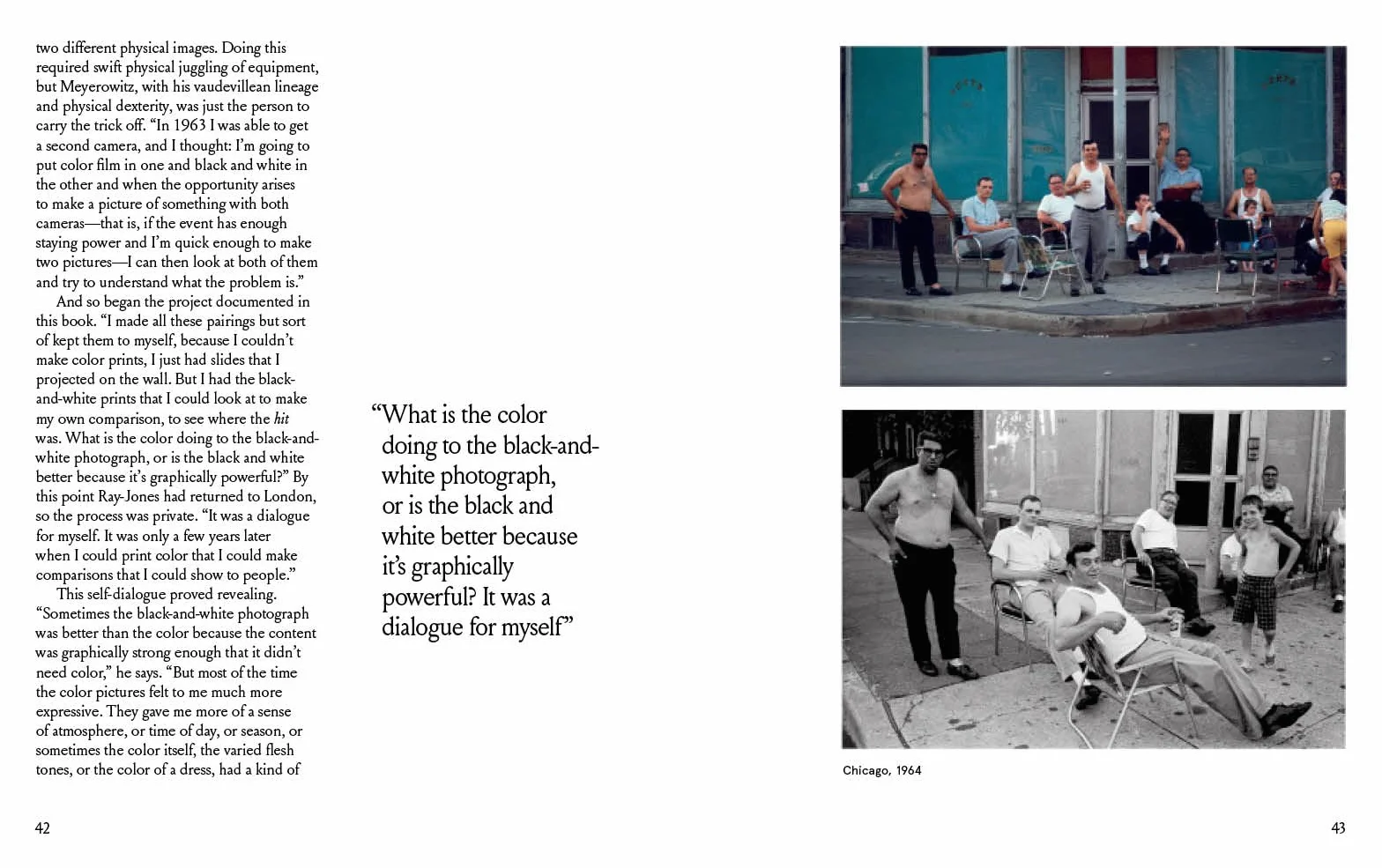 Joel Meyerowitz : A Question of Colour /anglais