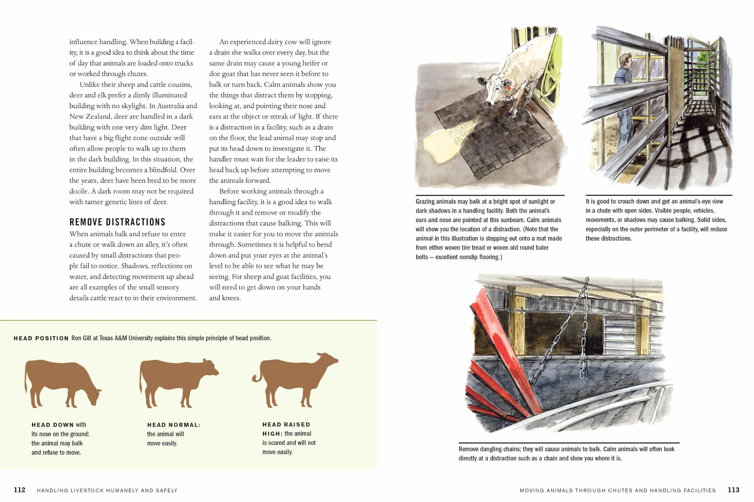 Temple Grandin's Guide to Working with Farm Animals: Safe, Humane Livestock Handling Practices for the Small Farm