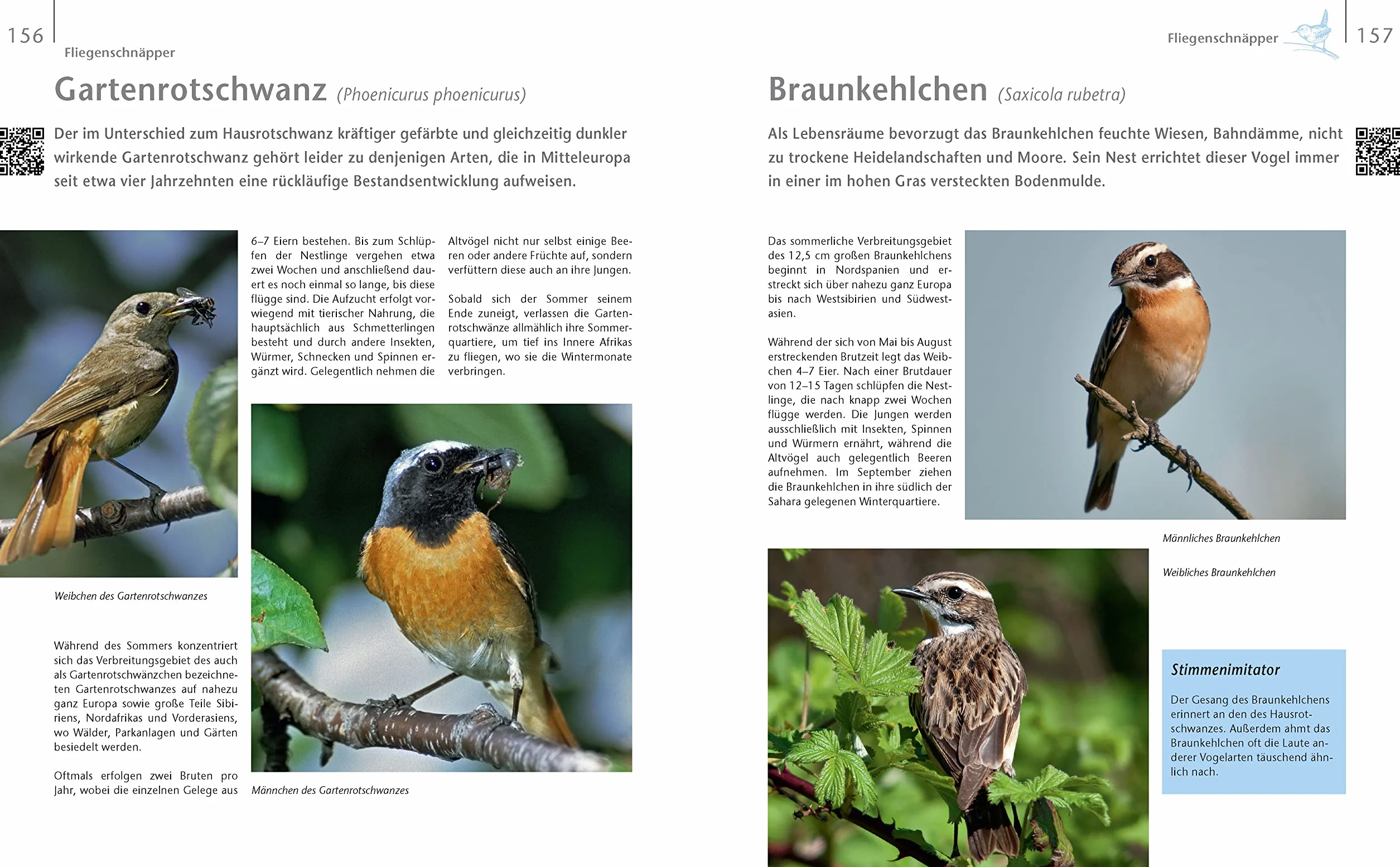 Vögel zu Gast im Garten - Heimische Vögel beobachten, bestimmen, schützen.: Vogelbuch 114 Vogelstimmen per QR-Code zum Download. Geschenk für Vogelfreunde