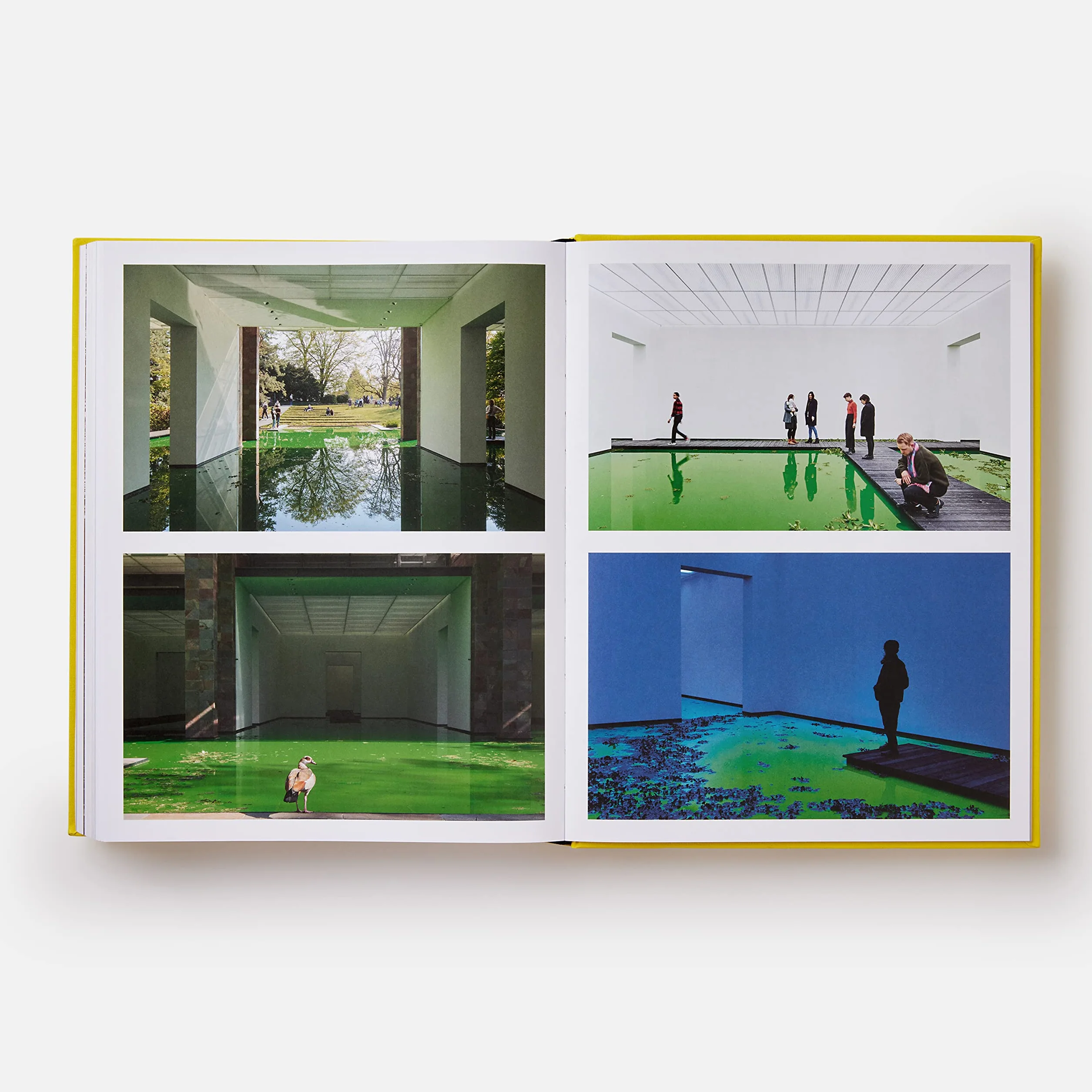 Olafur Eliasson: Experience: Revised and Expanded Edition