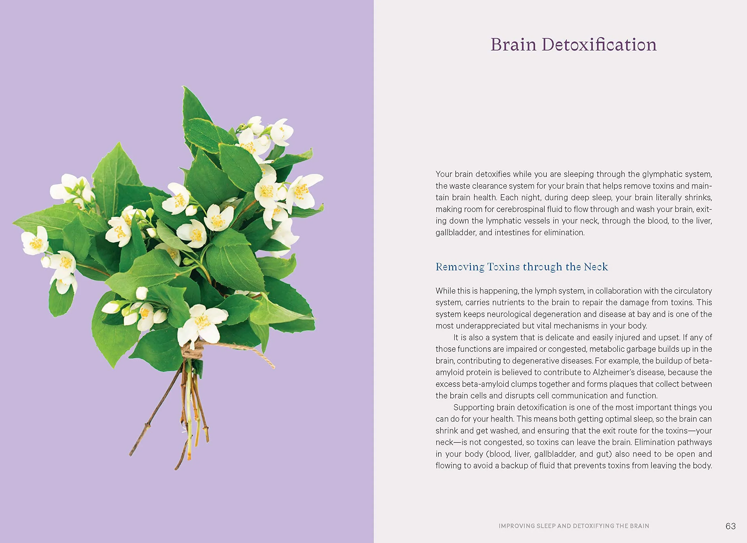 Essential Oils to Boost the Brain and Heal the Body: 5 Steps to Calm Anxiety, Sleep Better, and Reduce Inflammation to Regain Control of Your Health