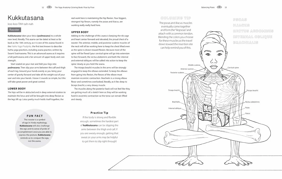 The Yoga Anatomy Coloring Book: Pose by Pose: Learn the Anatomy and Enhance Your Practice - An Educational Anatomy Coloring Book for Yoga Teachers, Medical Students, & Adults (Volume 2)