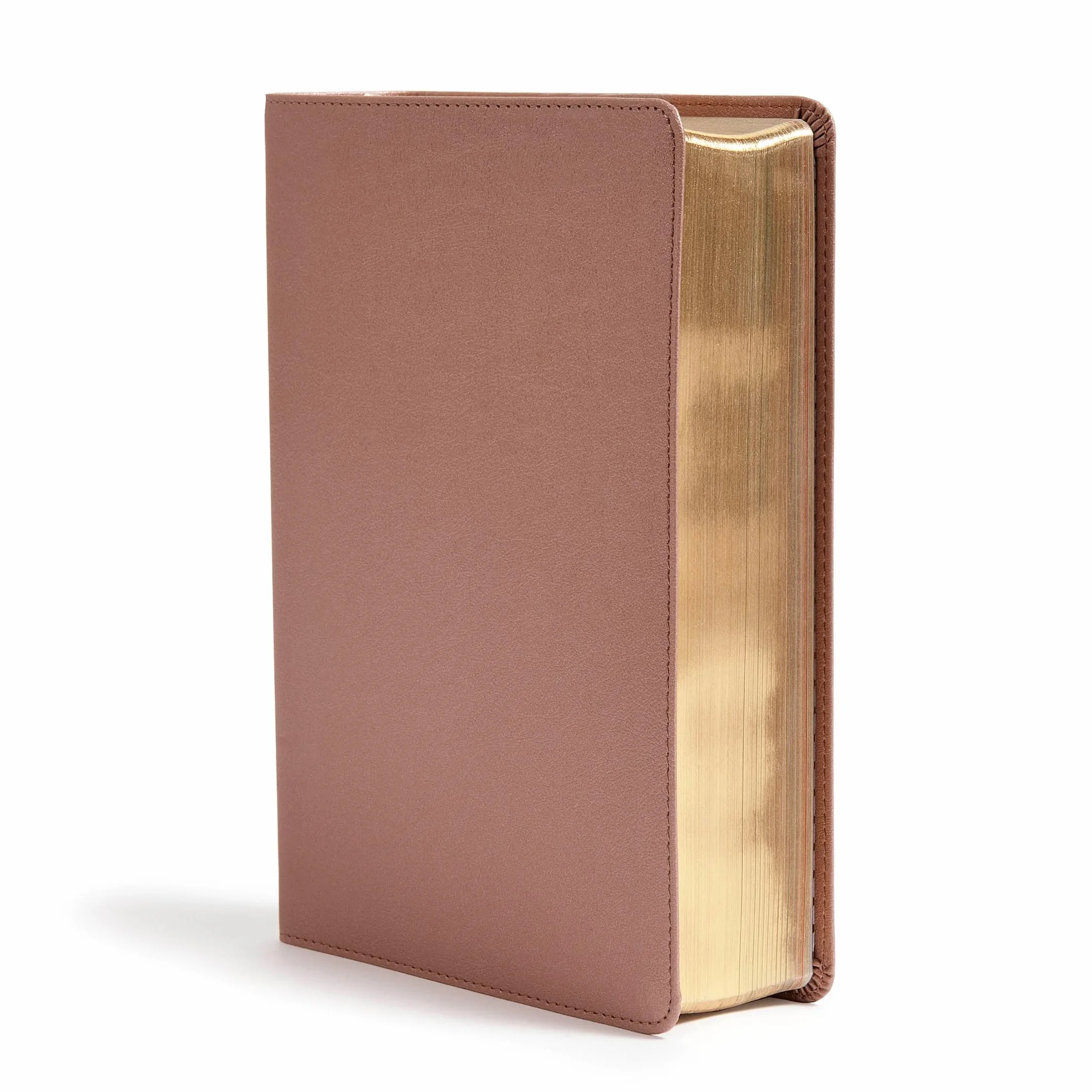 CSB She Reads Truth Bible, Rose Gold Leathertouch: Notetaking Space, Devotionals, Reading Plans, Easy-To-Read Font