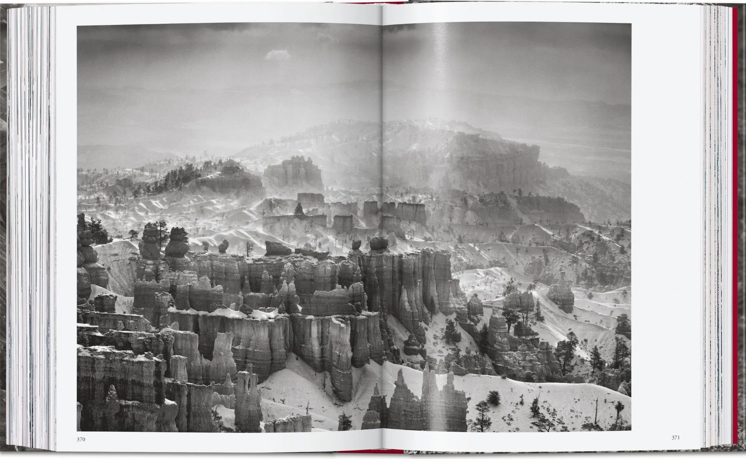 Sebastião Salgado. Genesis. 45th Ed.