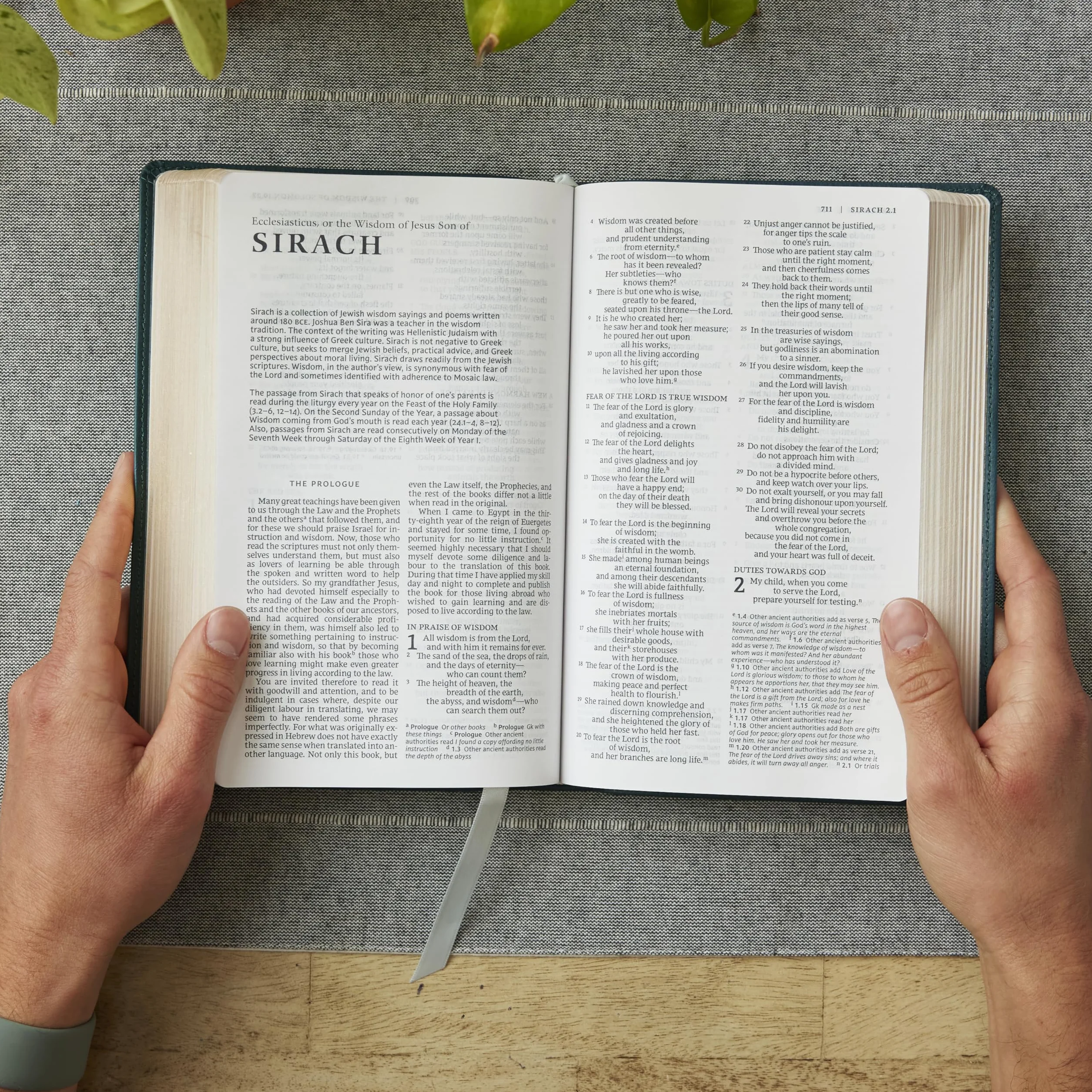 Nrsv, Catholic Bible, Gift Edition, Leathersoft, Black, Comfort Print: Holy Bible