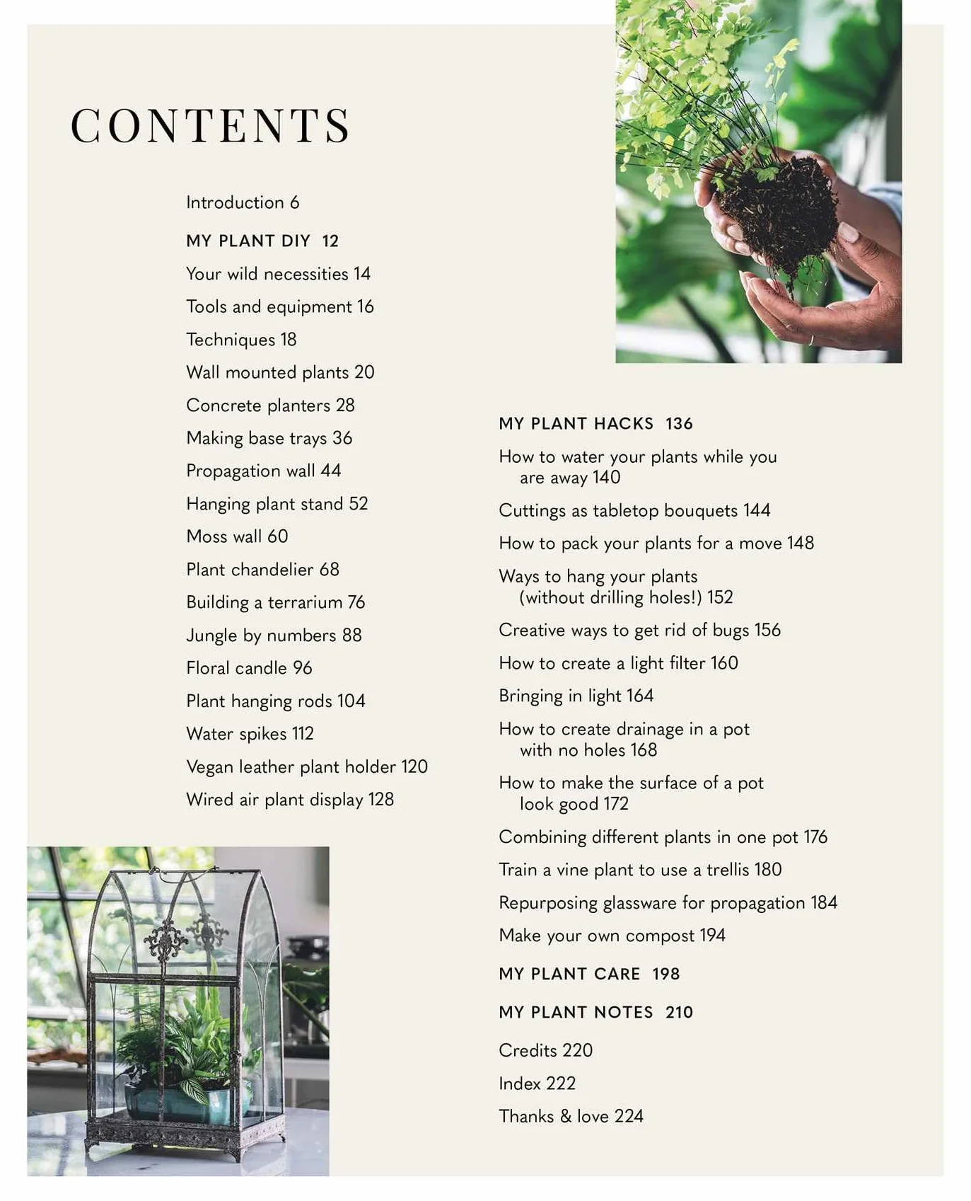 Wild Creations: Inspiring Projects to Create Plus Plant Care Tips & Styling Ideas for Your Own Wild Interior