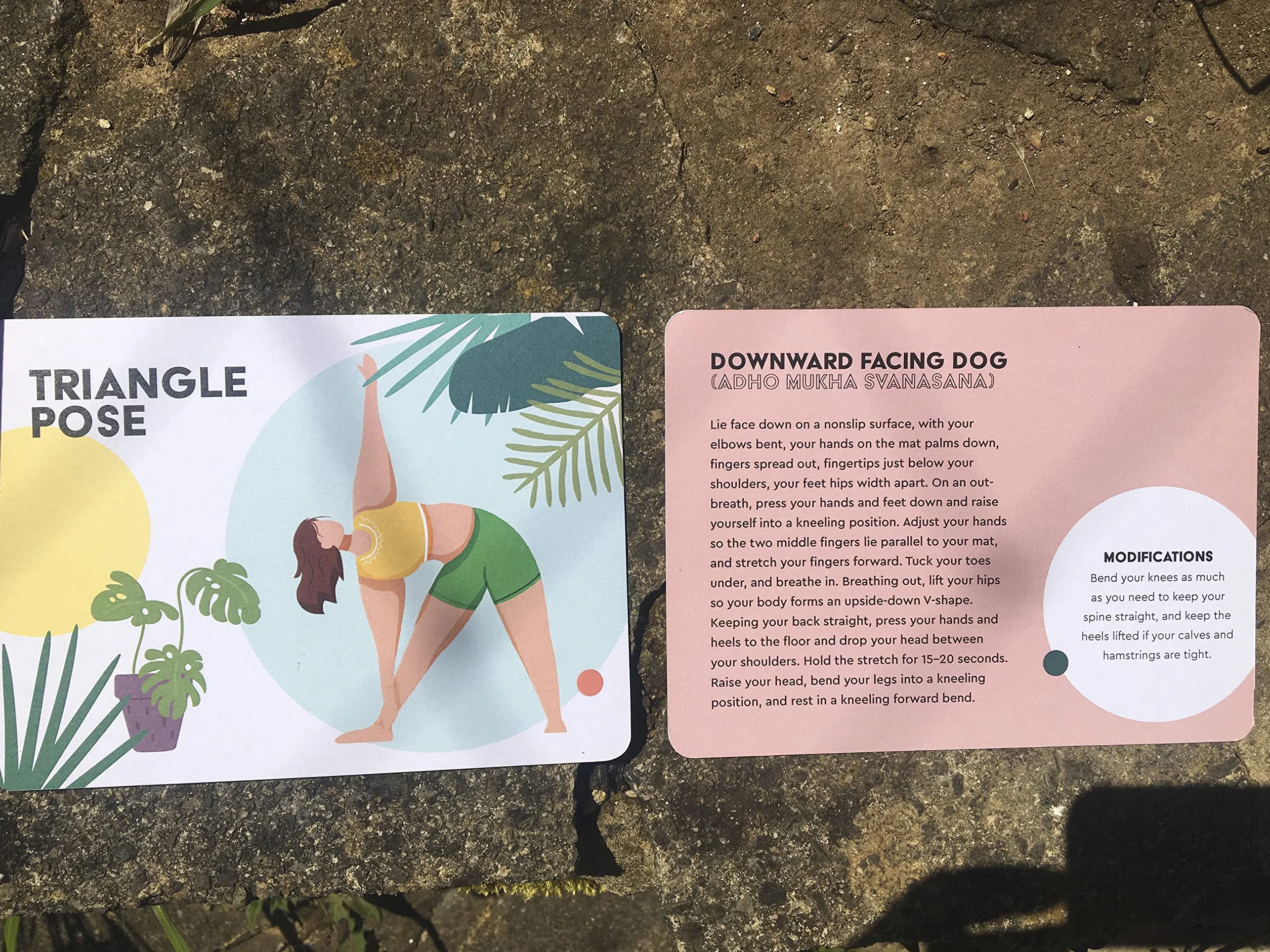 Yoga Asana Cards: 50 poses & 25 sequences
