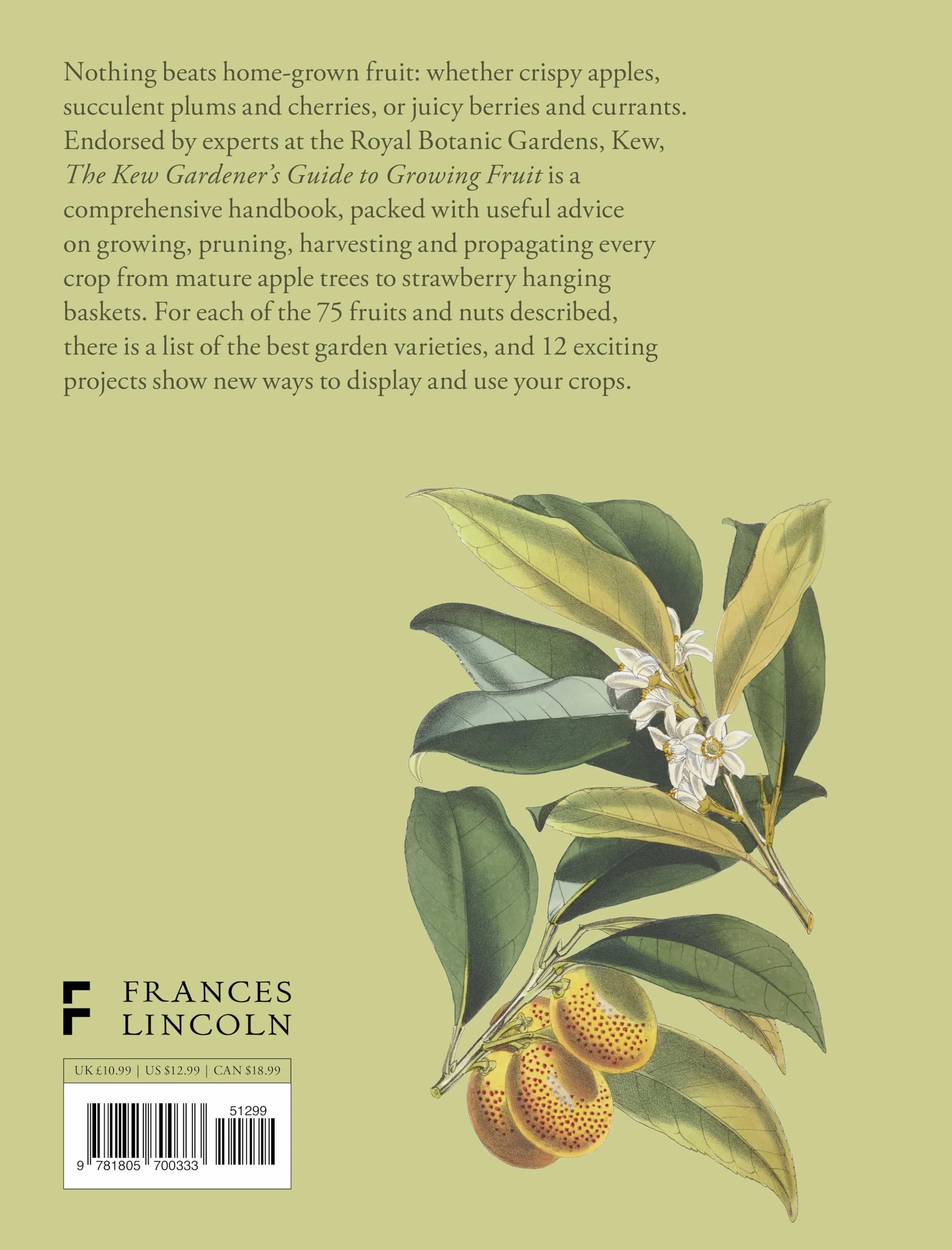 The Kew Gardener's Guide to Growing Fruit: Paperback Reissue