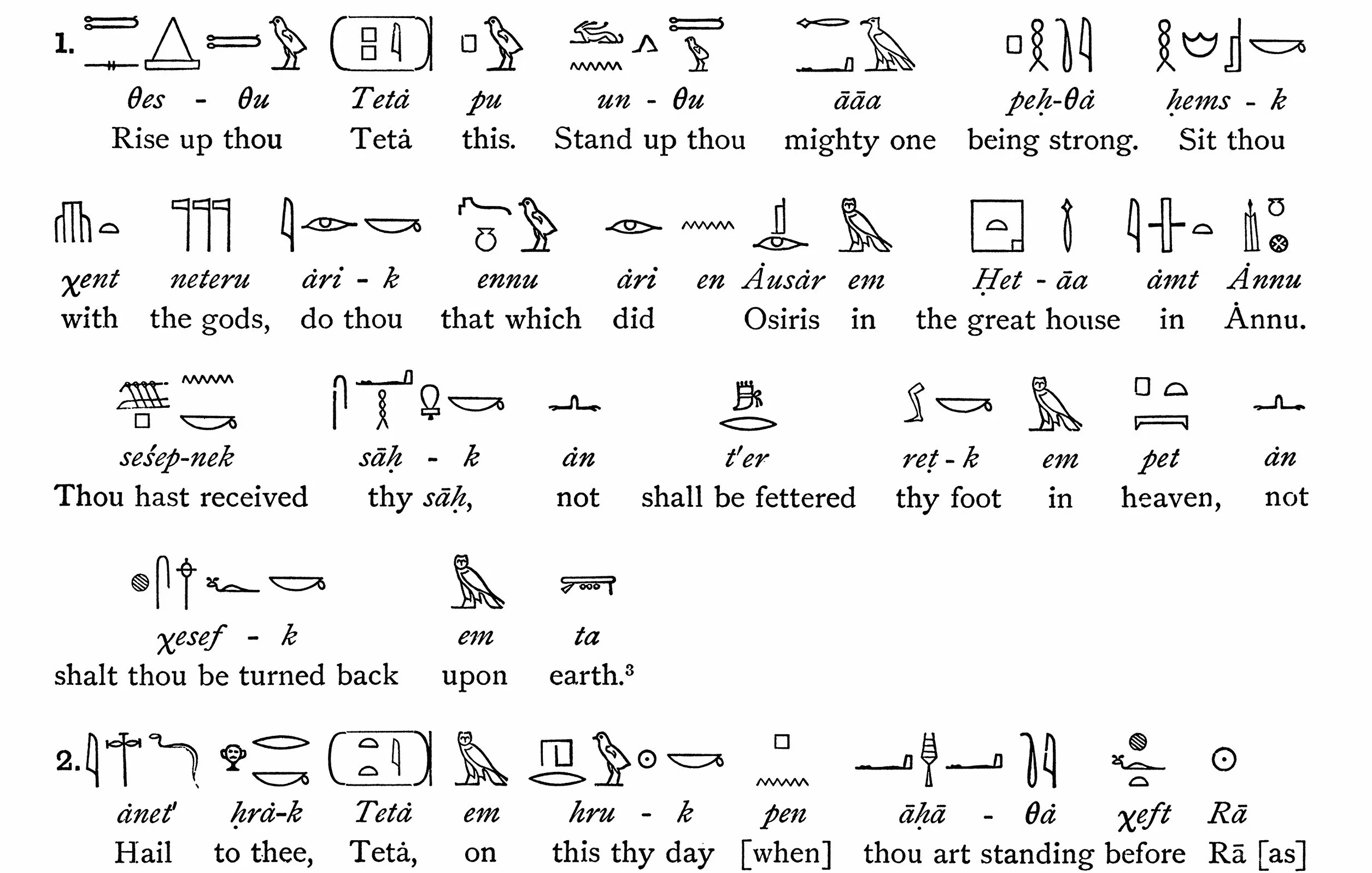 The Egyptian Book of the Dead: Egyptian Text, Transliteration and Translation